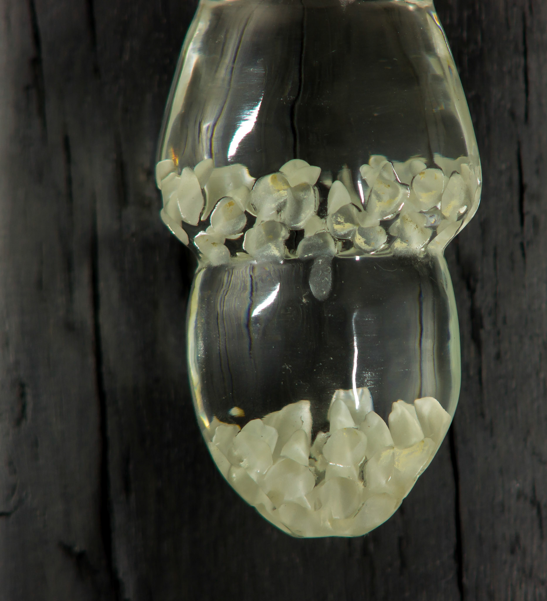 Die Lust am Stich ins Wespennest (The desire for the sting in the wasp nest) 2018