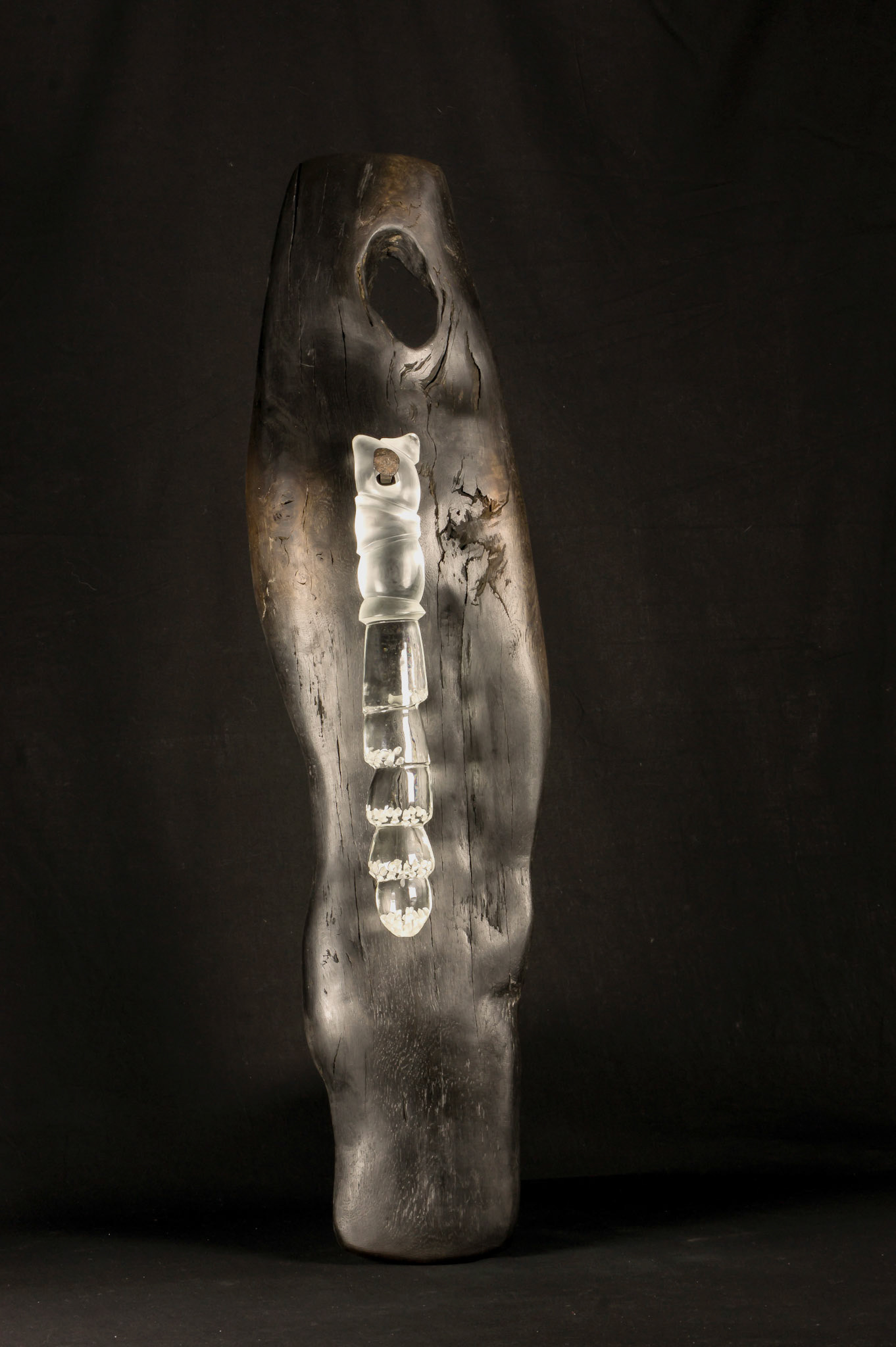 Die Lust am Stich ins Wespennes ( The desire for the sting in the wasp nest )2018