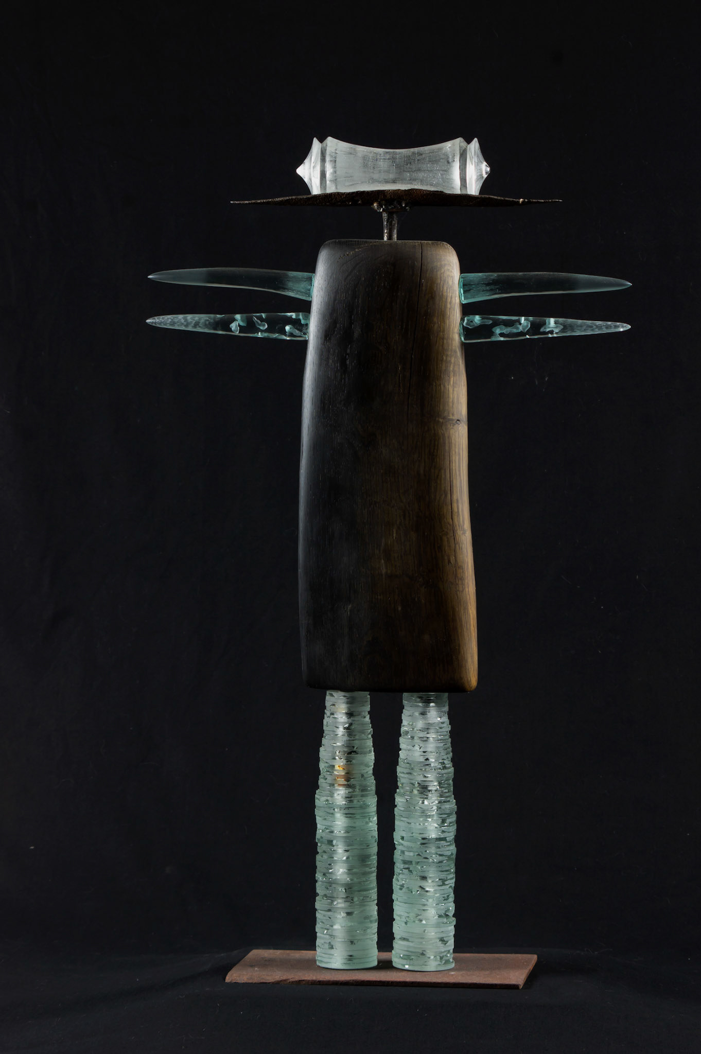 Insekt ( Insect ) 2017