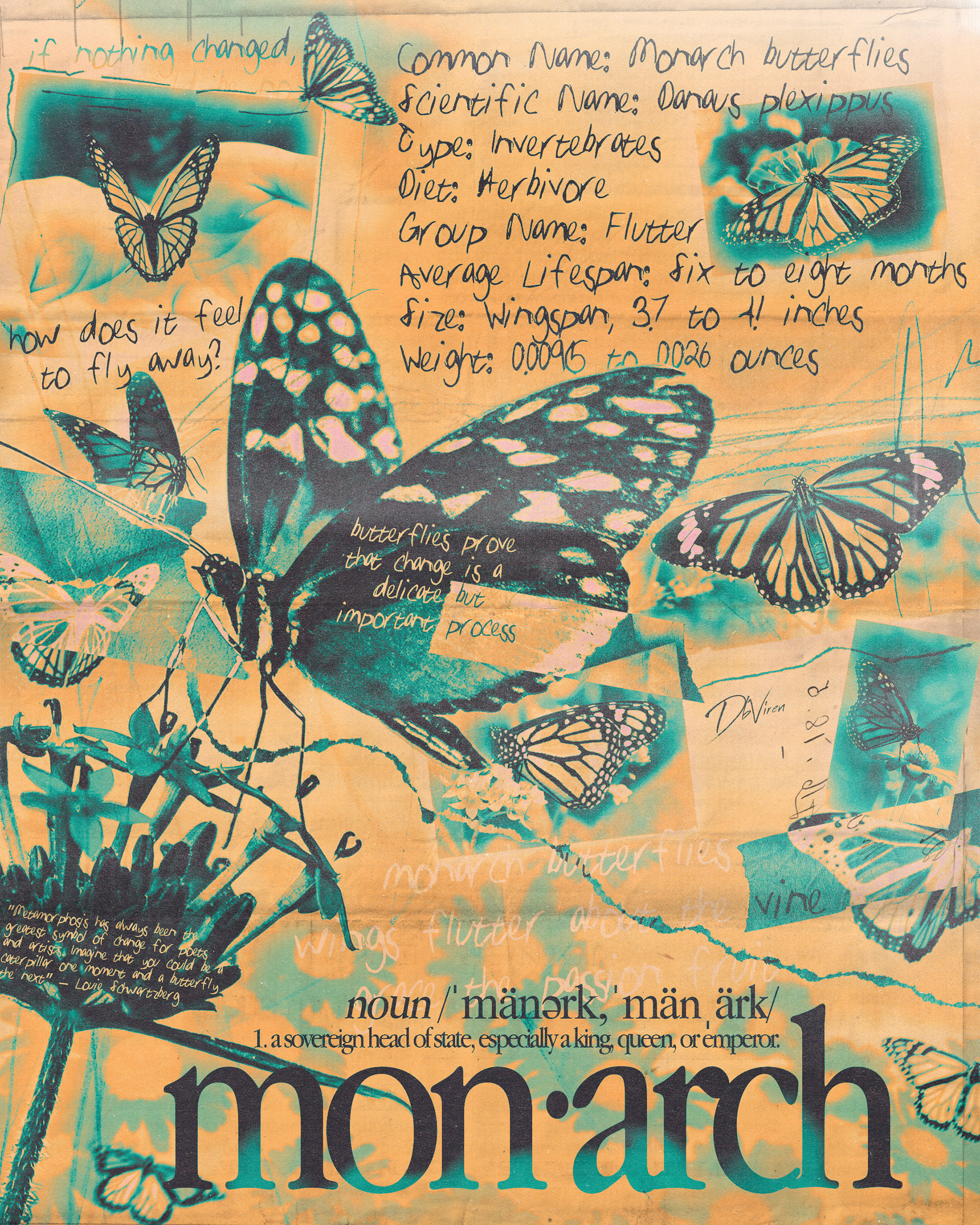 Monarch