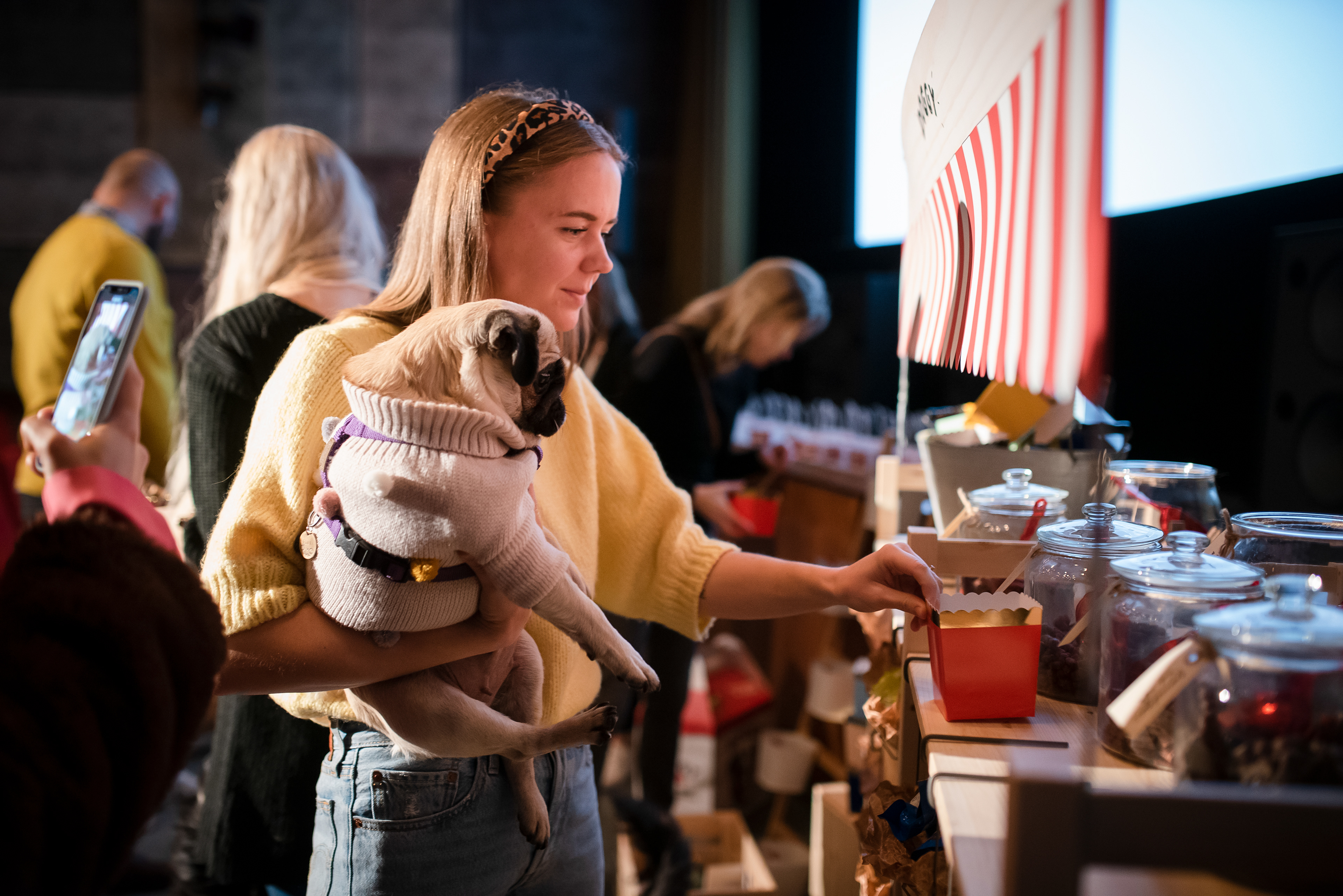 DOGGY, Dog cinema, 2019