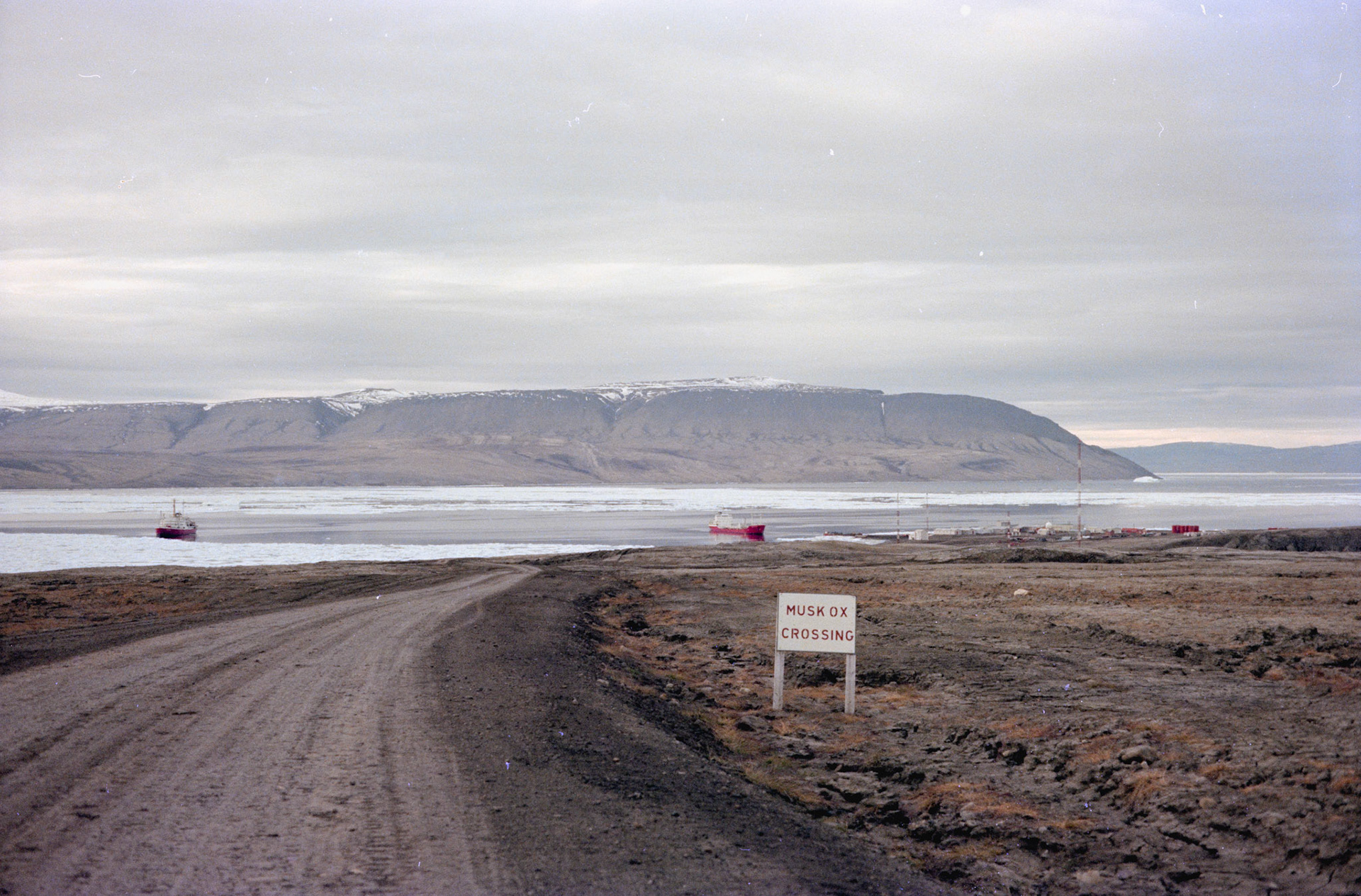 Arctic 1976 film no 11