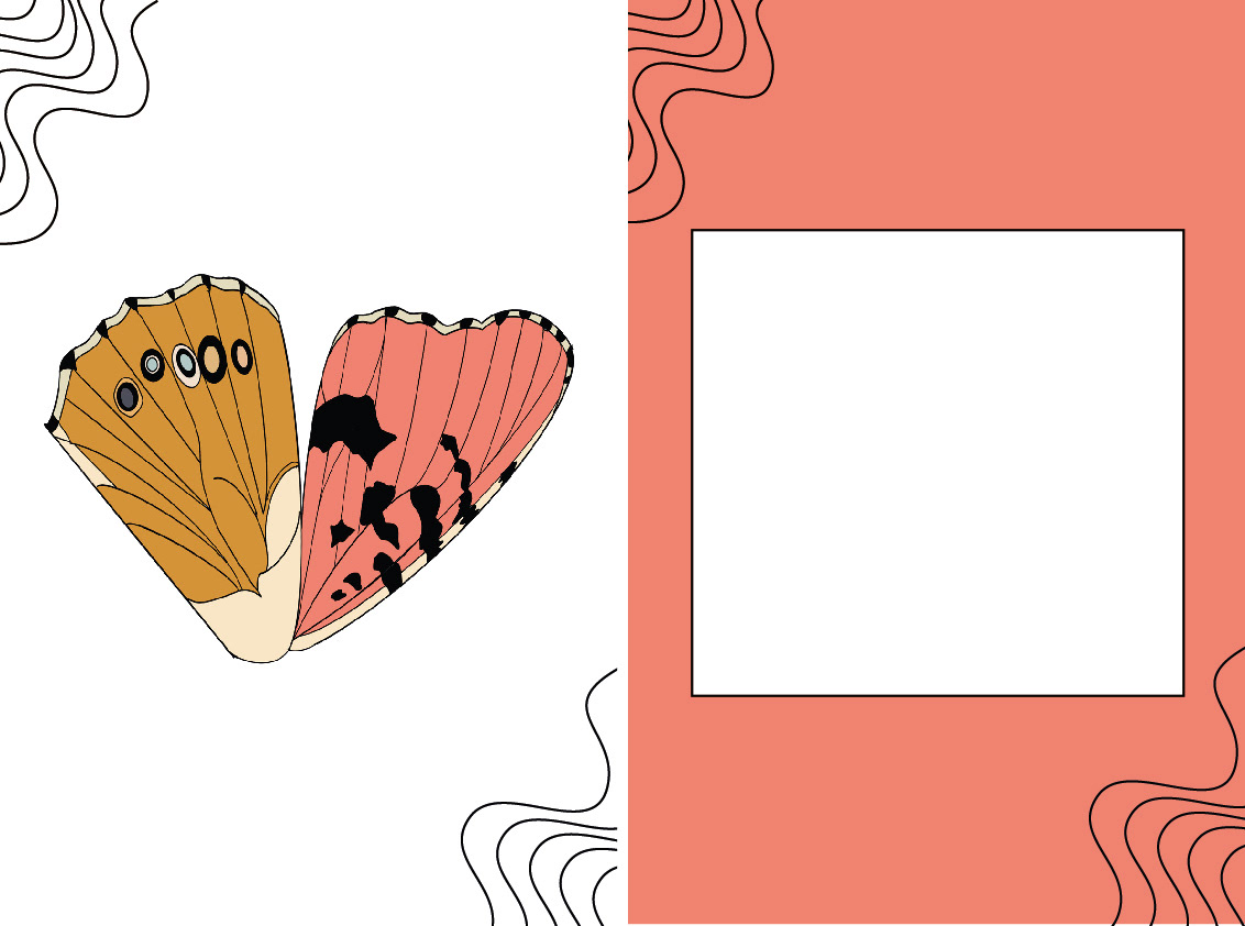 Abecedarium Butterfly
