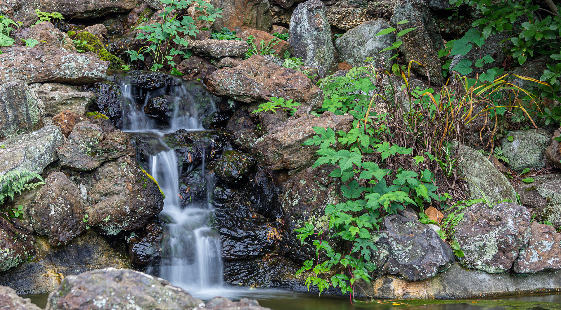 Deep Cut Gardens #6