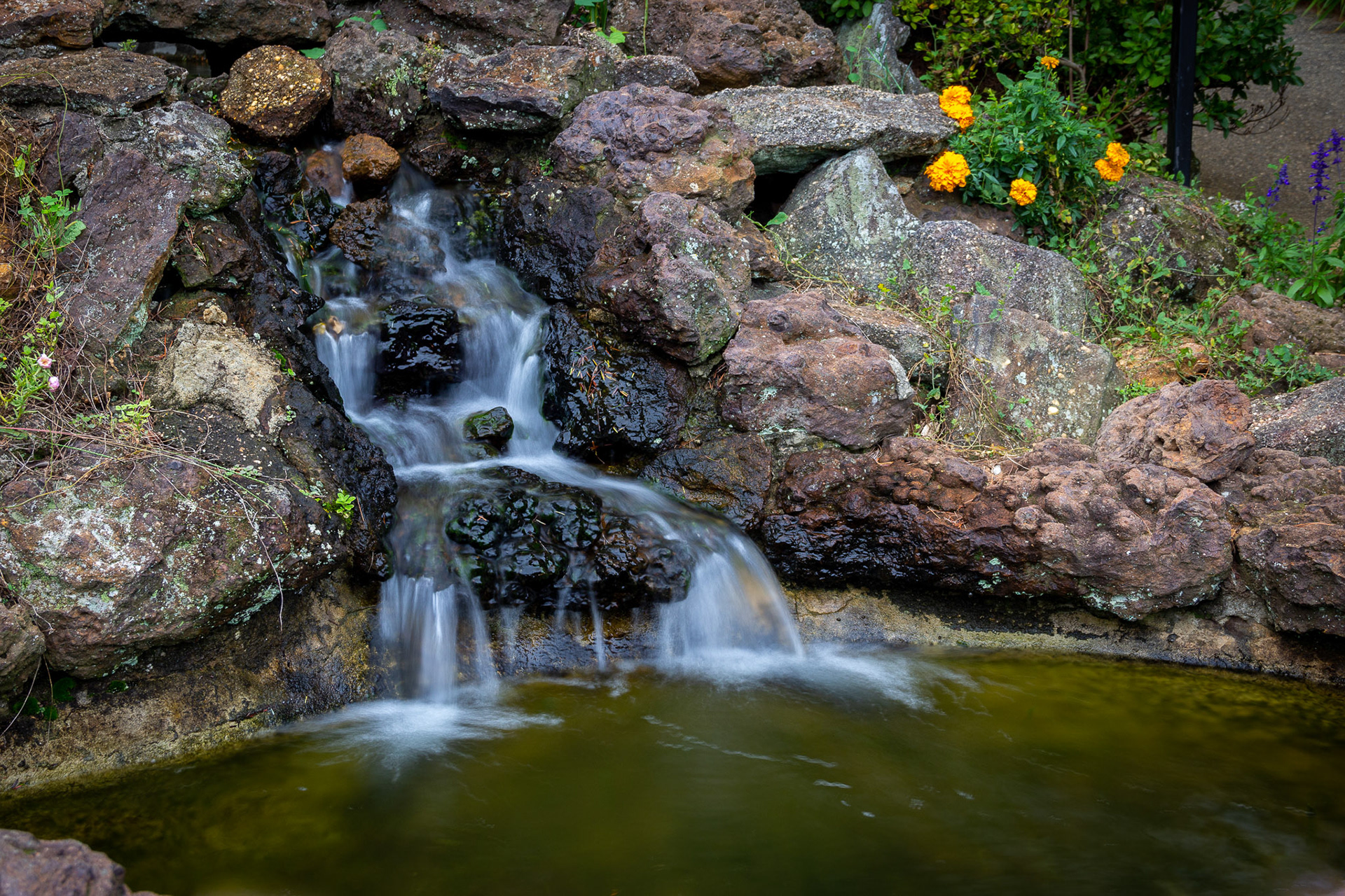 Deep Cut Gardens #5