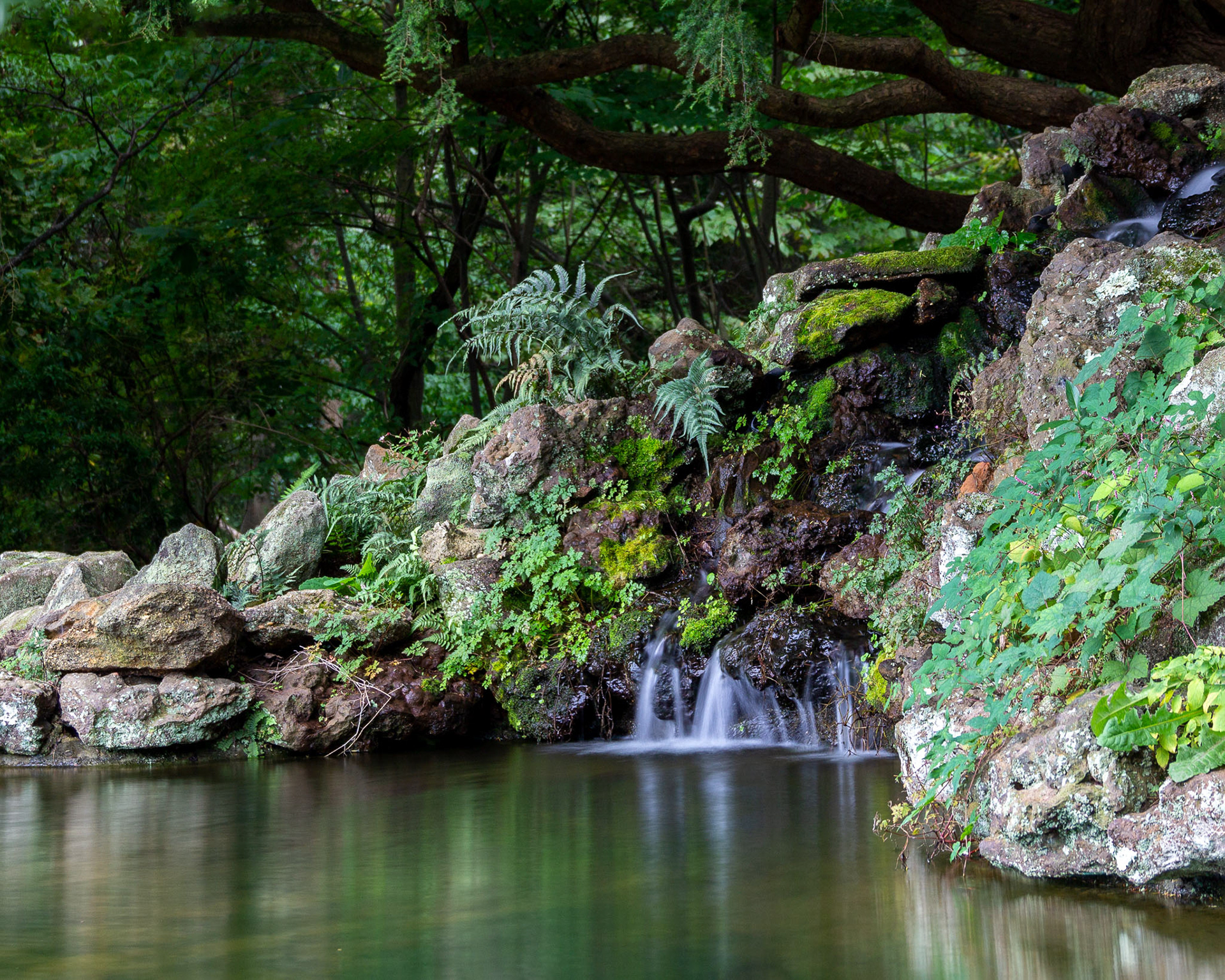 Deep Cut Gardens #1