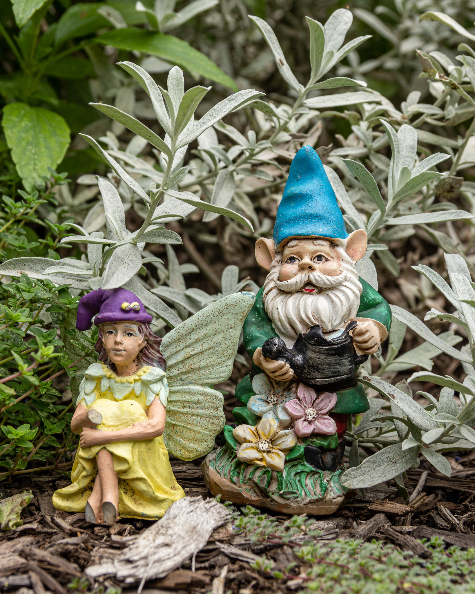 Deep Cut Gardens #14