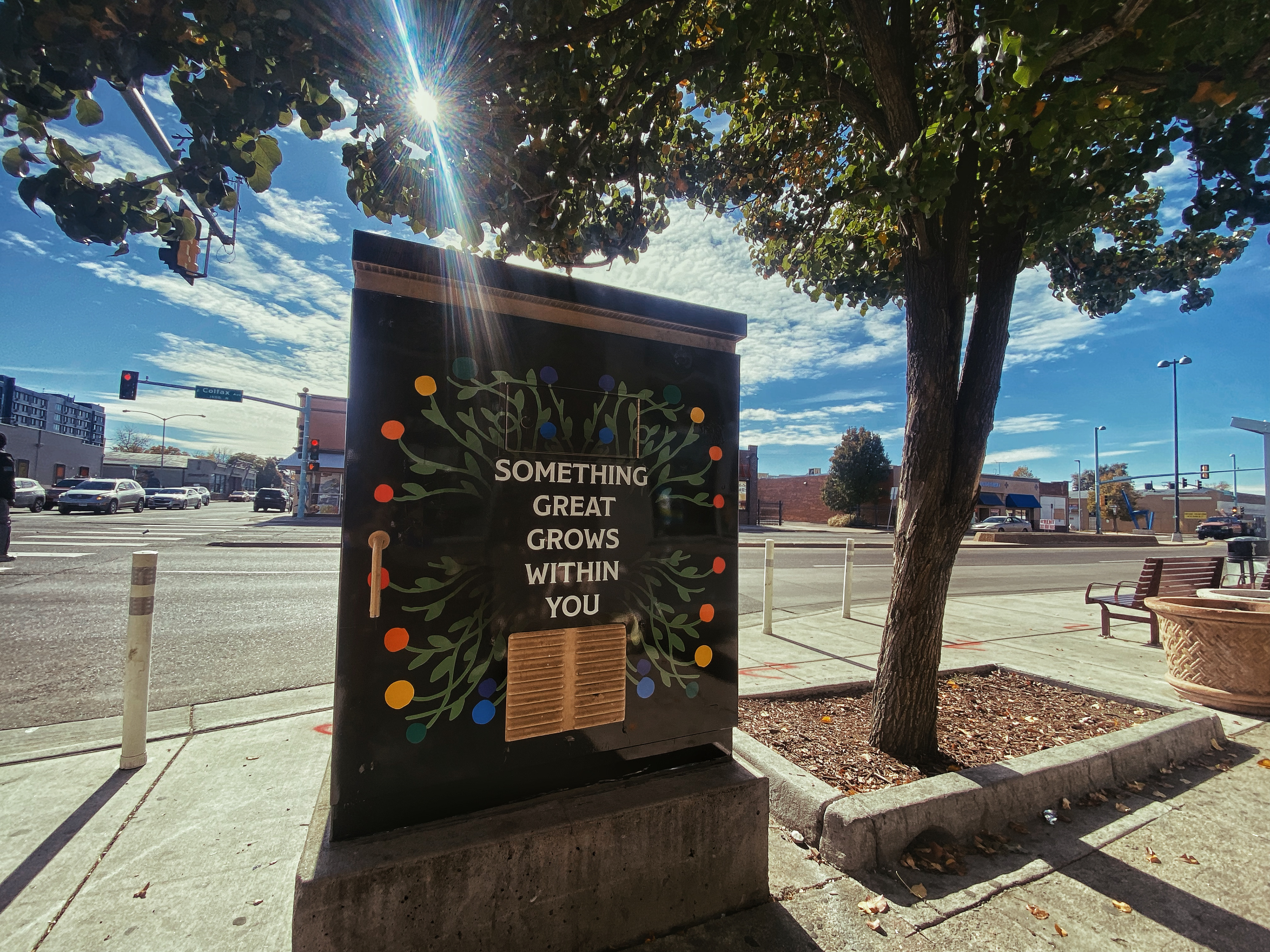 Utility Box Vinyl Wrap - Colfax & Dayton