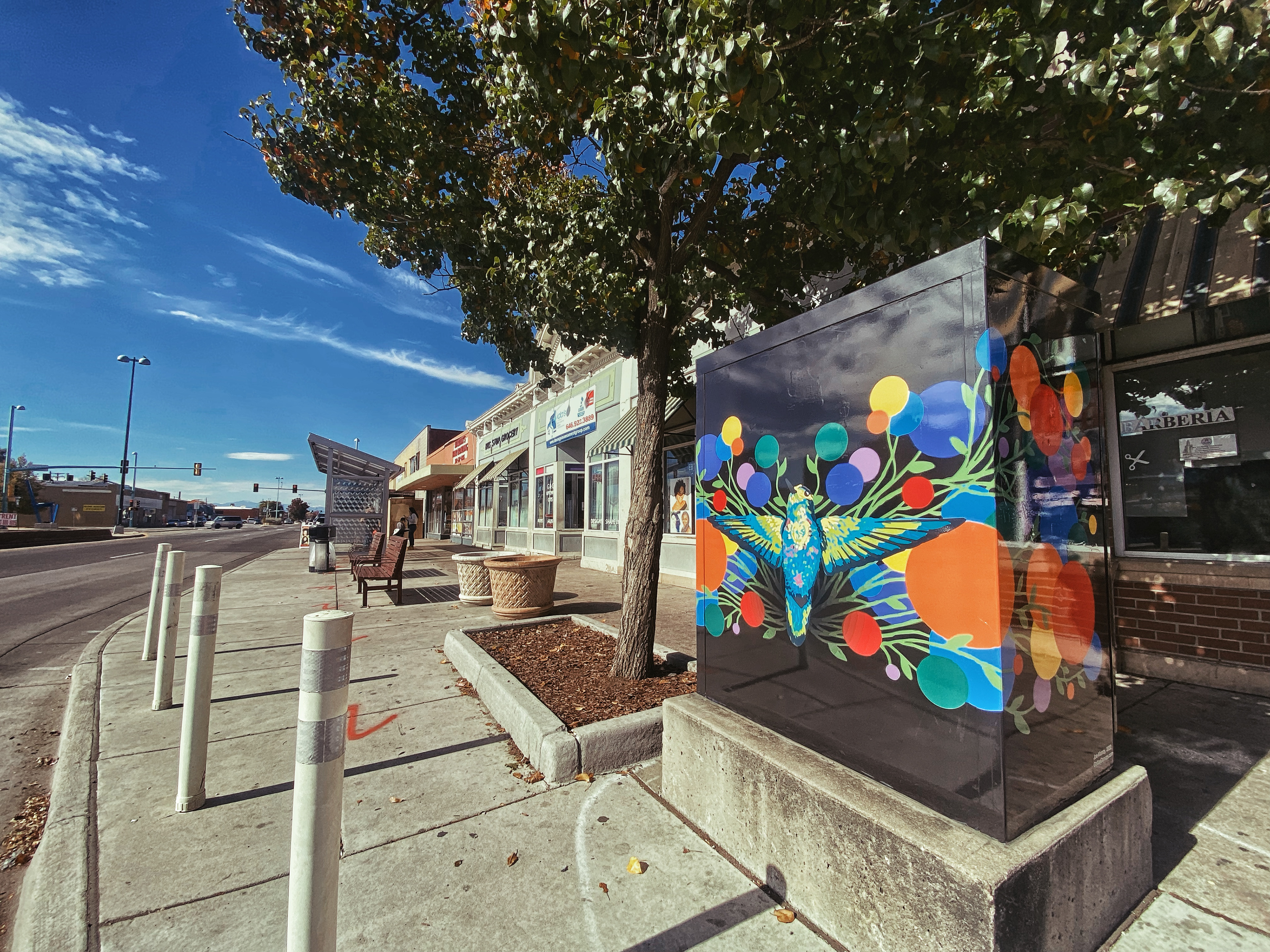 Utility Box Vinyl Wrap - Colfax & Dayton