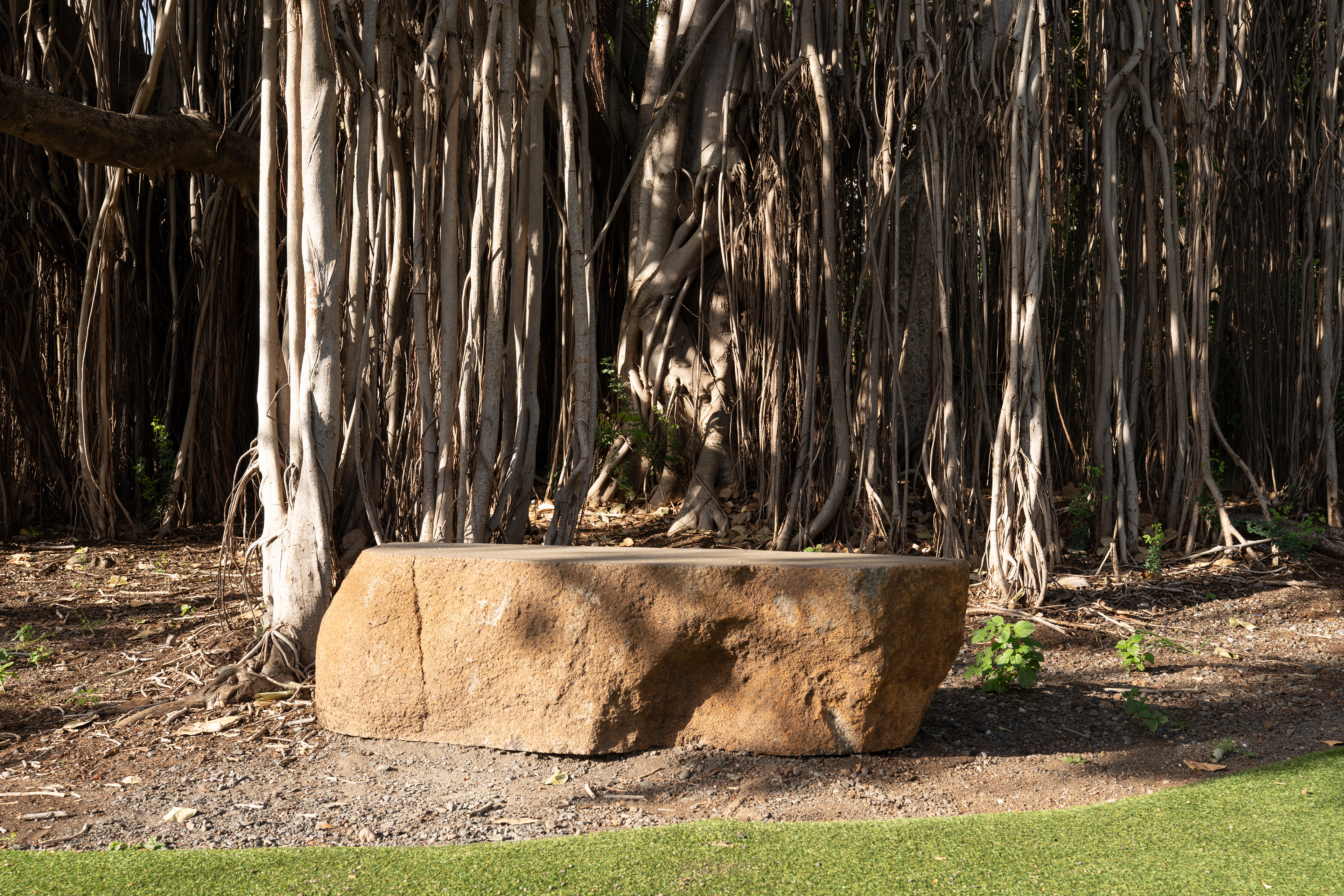 Photographie architecture réunion 974 LEU Réunion Airedejeux Coeurdeville possession