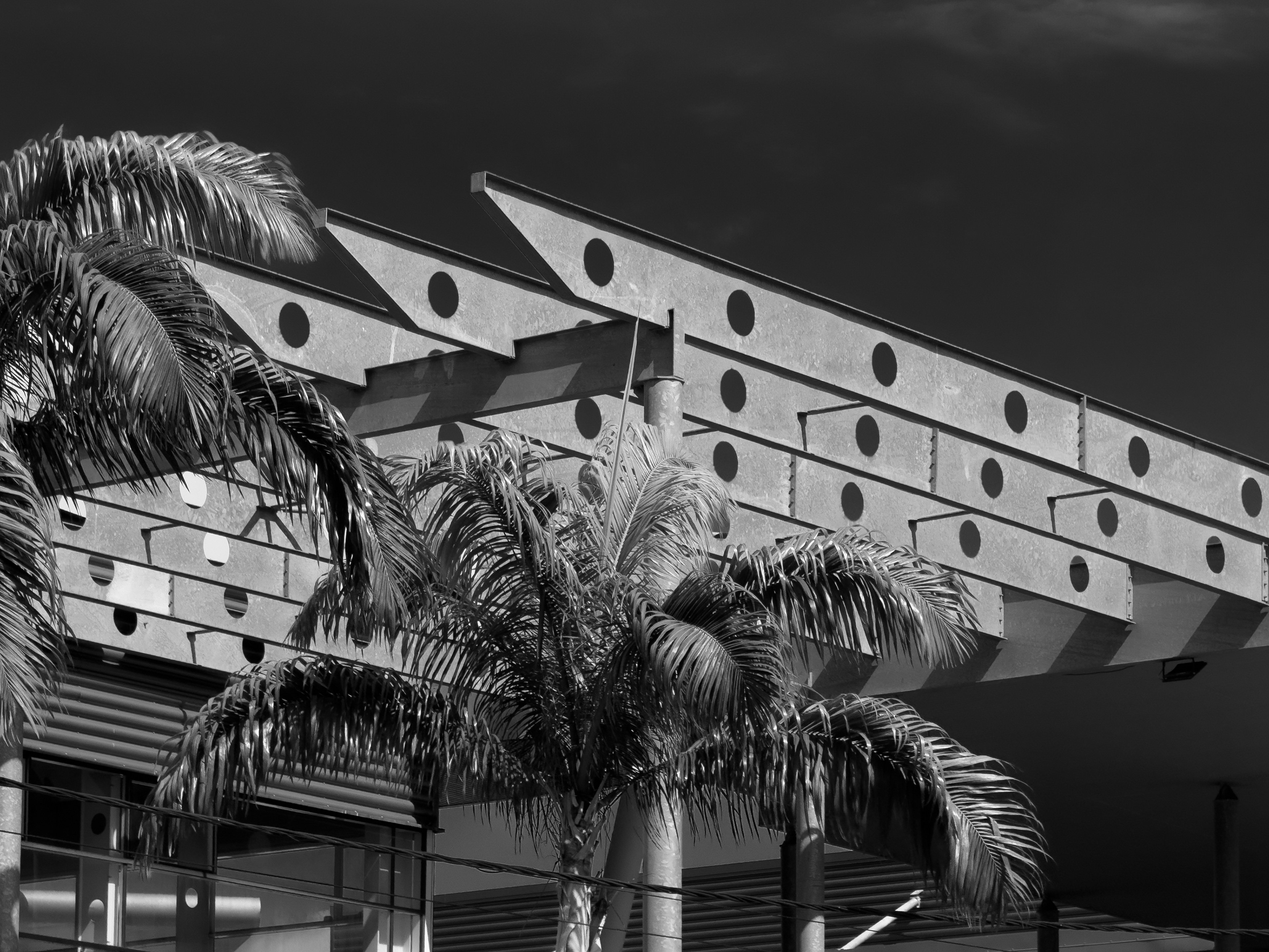 Photographie architecture tropicale réunion 974 Fianu saint-denis parc expositions