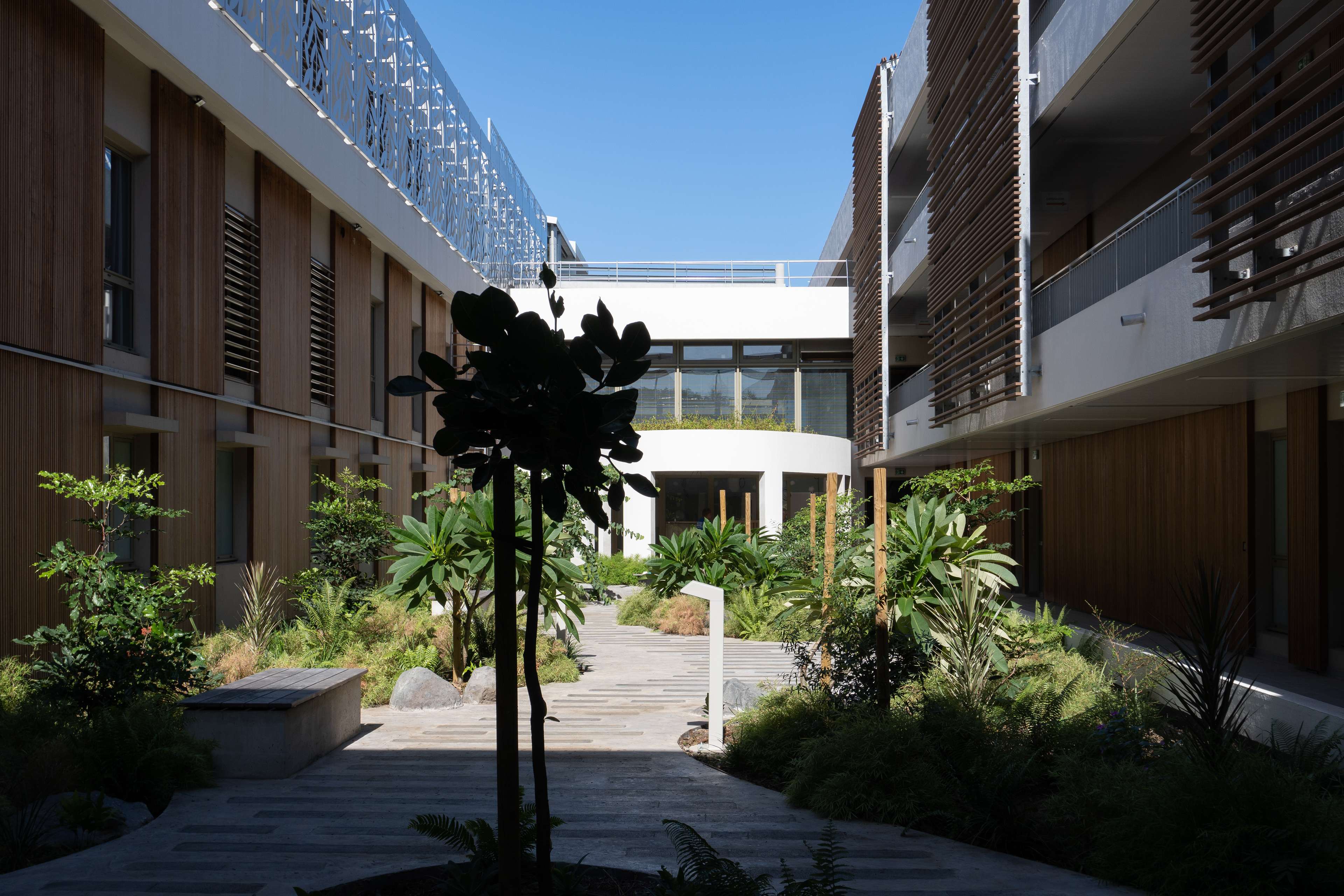 Photographie architecture tropicale  réunion clinique orchidée port urban