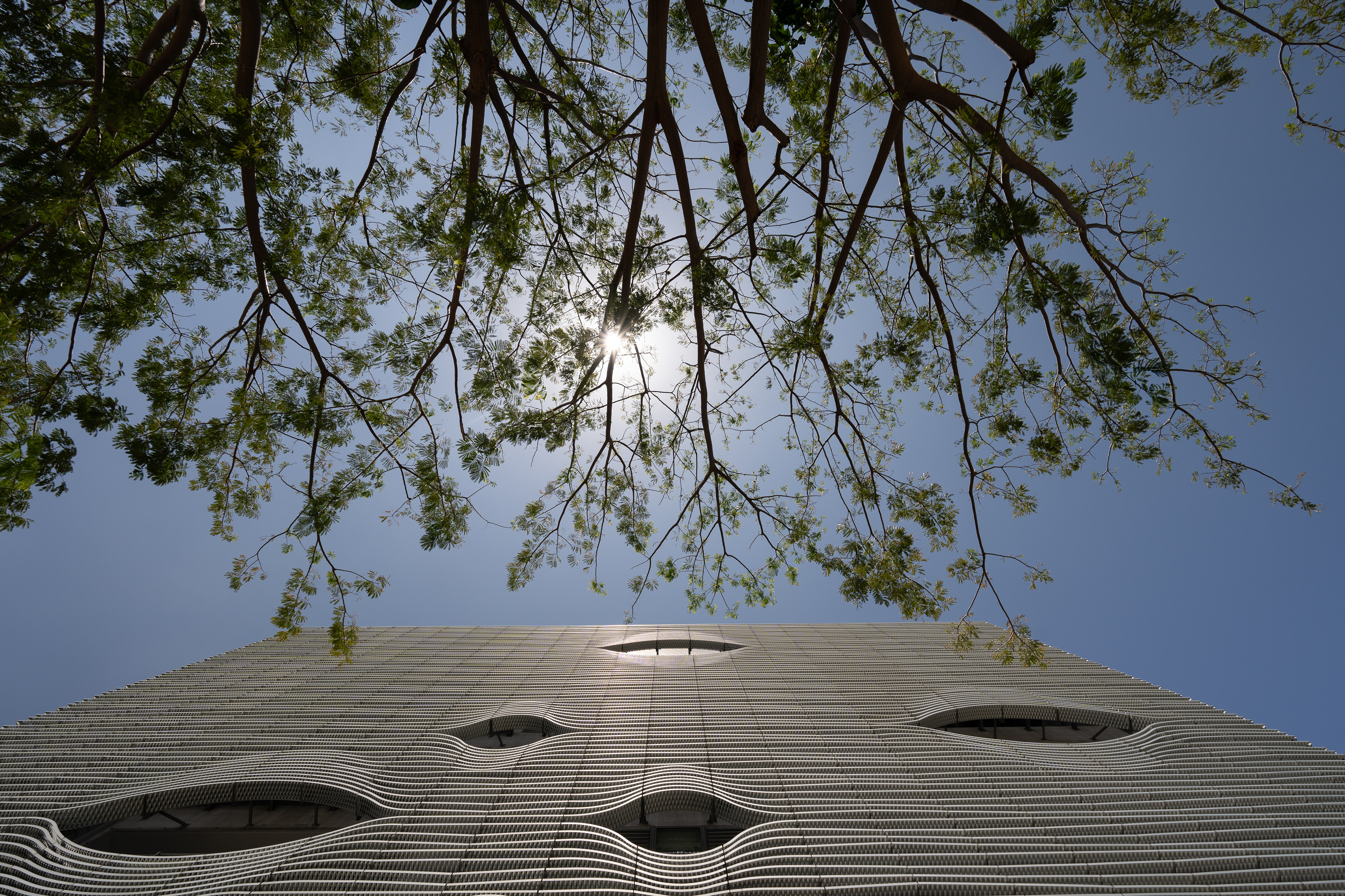 Photographie reportage architecture conservatoire saint-paul réunion