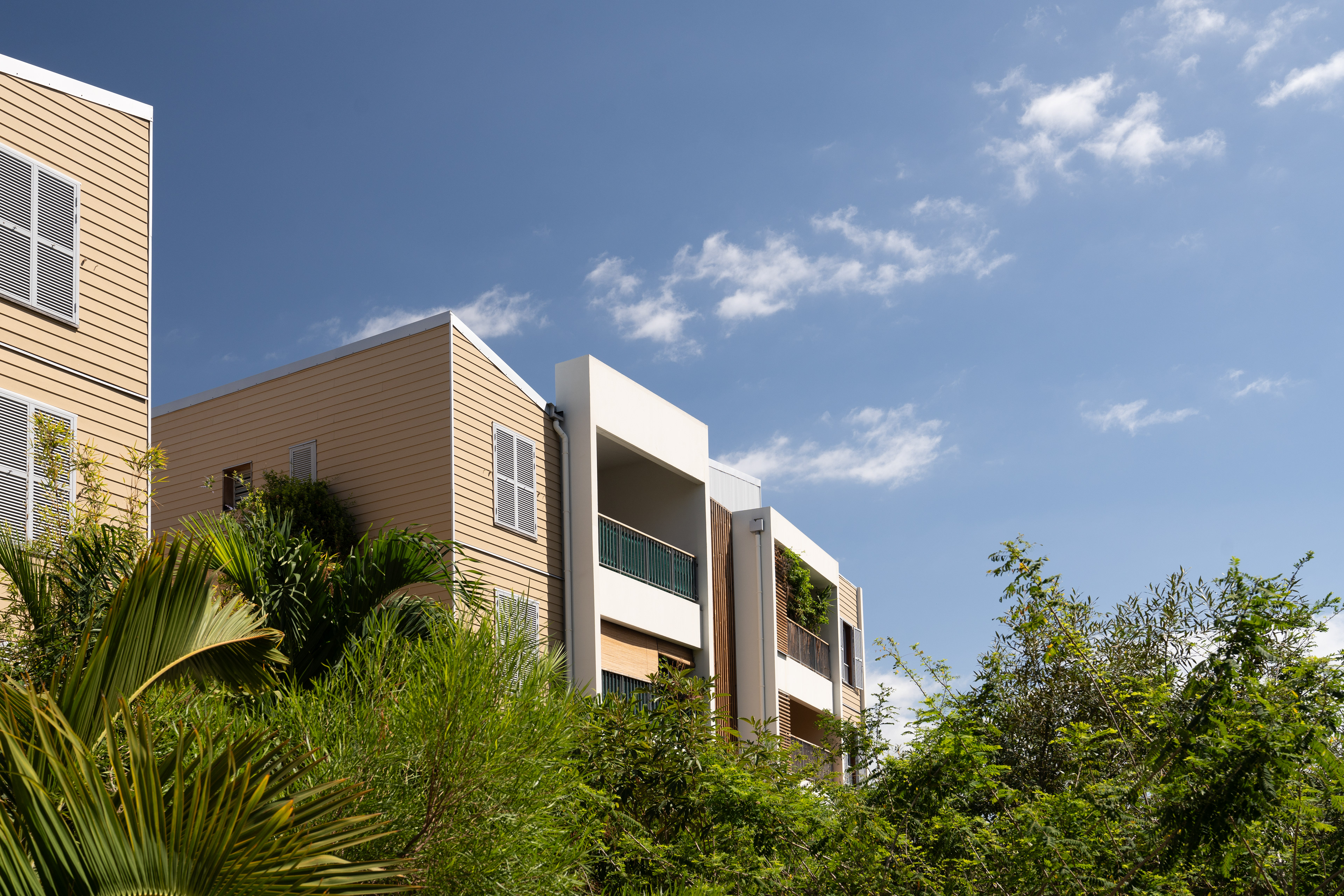 Photographie architecture réunion 974 lotek logement résidence filaos coeurdeville possession