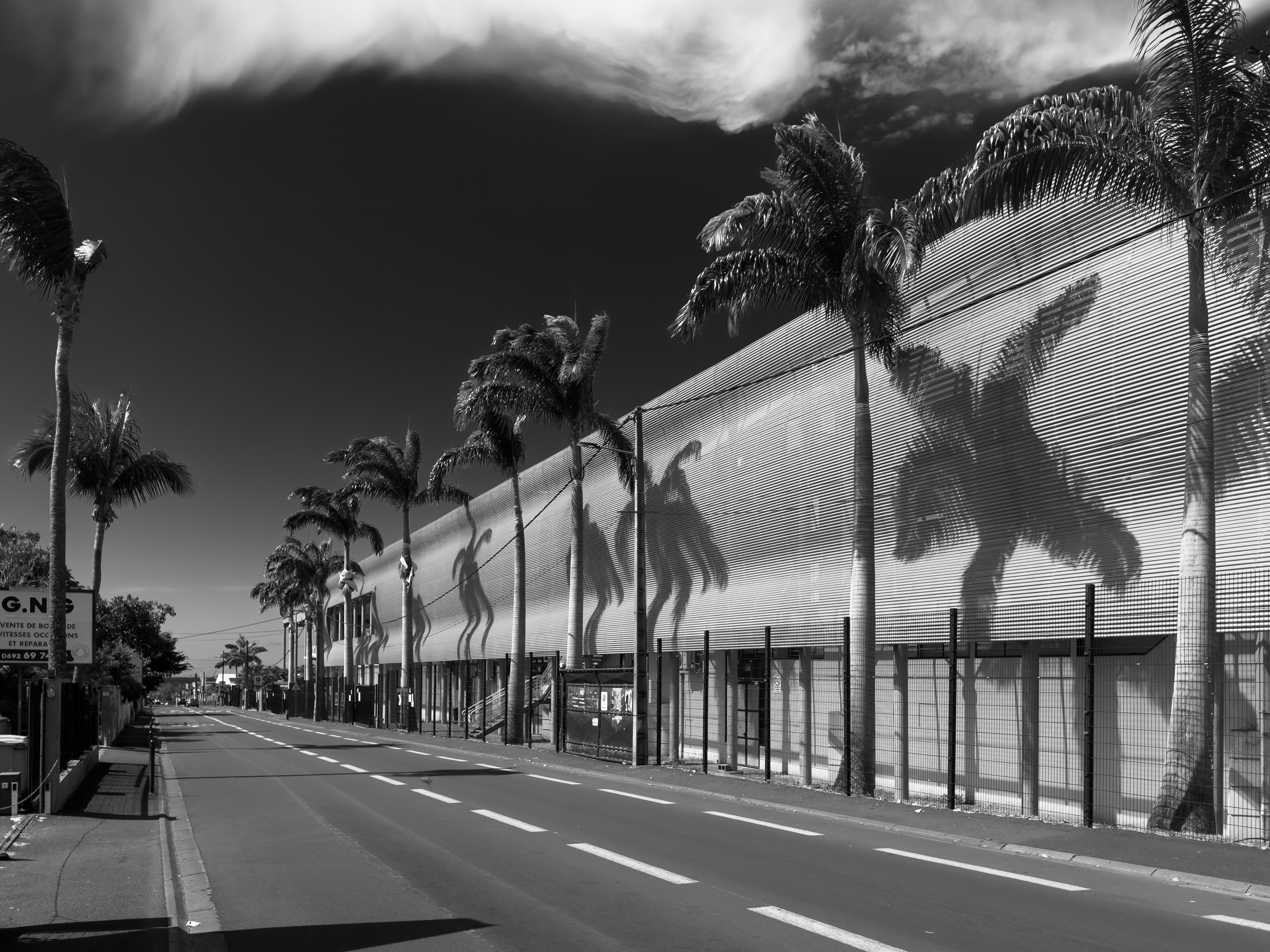 Photographie architecture tropicale réunion 974 Fianu saint-denis parc expositions