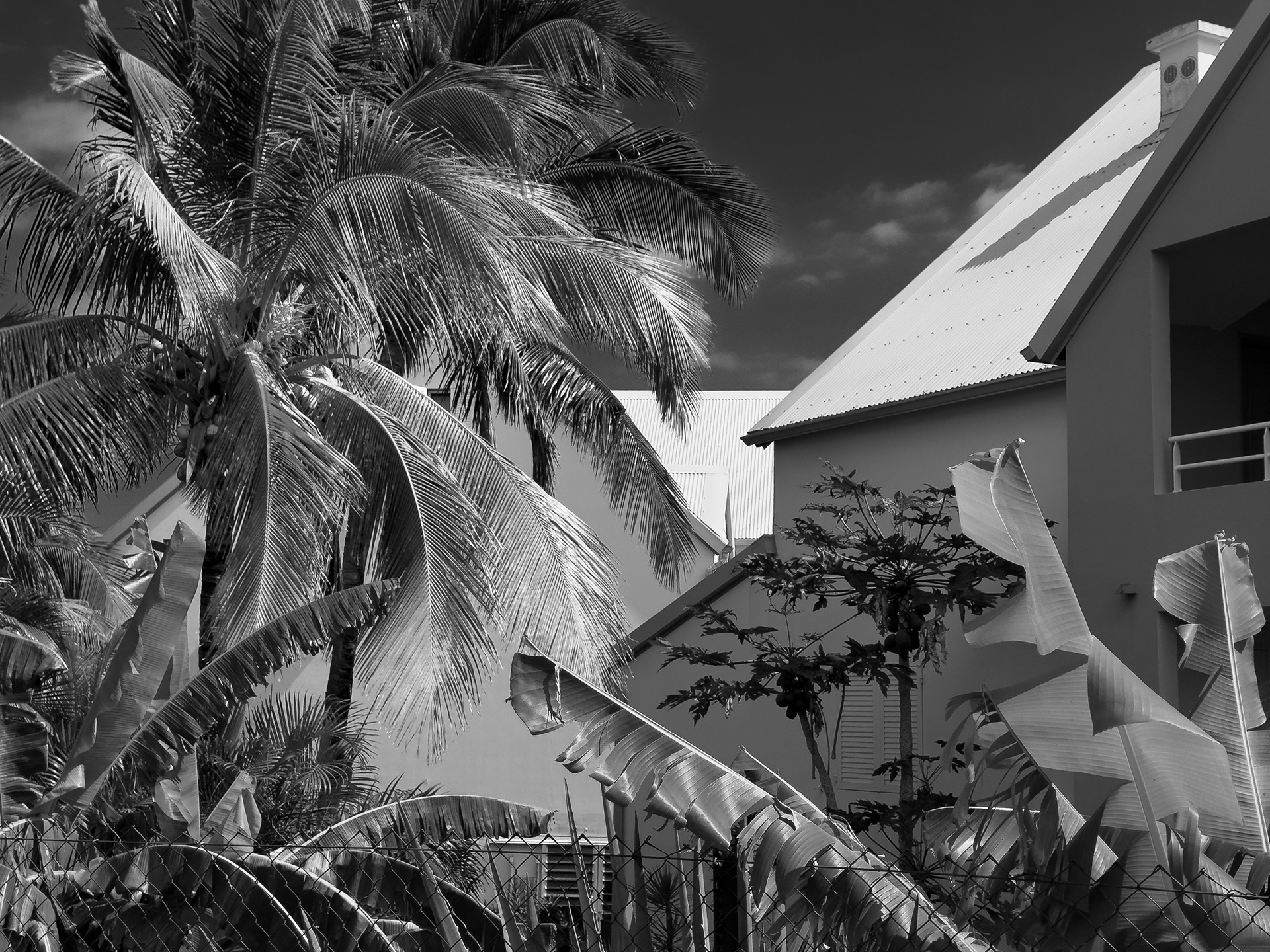 Photographie architecture tropicale réunion 974 Fianu saintpierre tennis