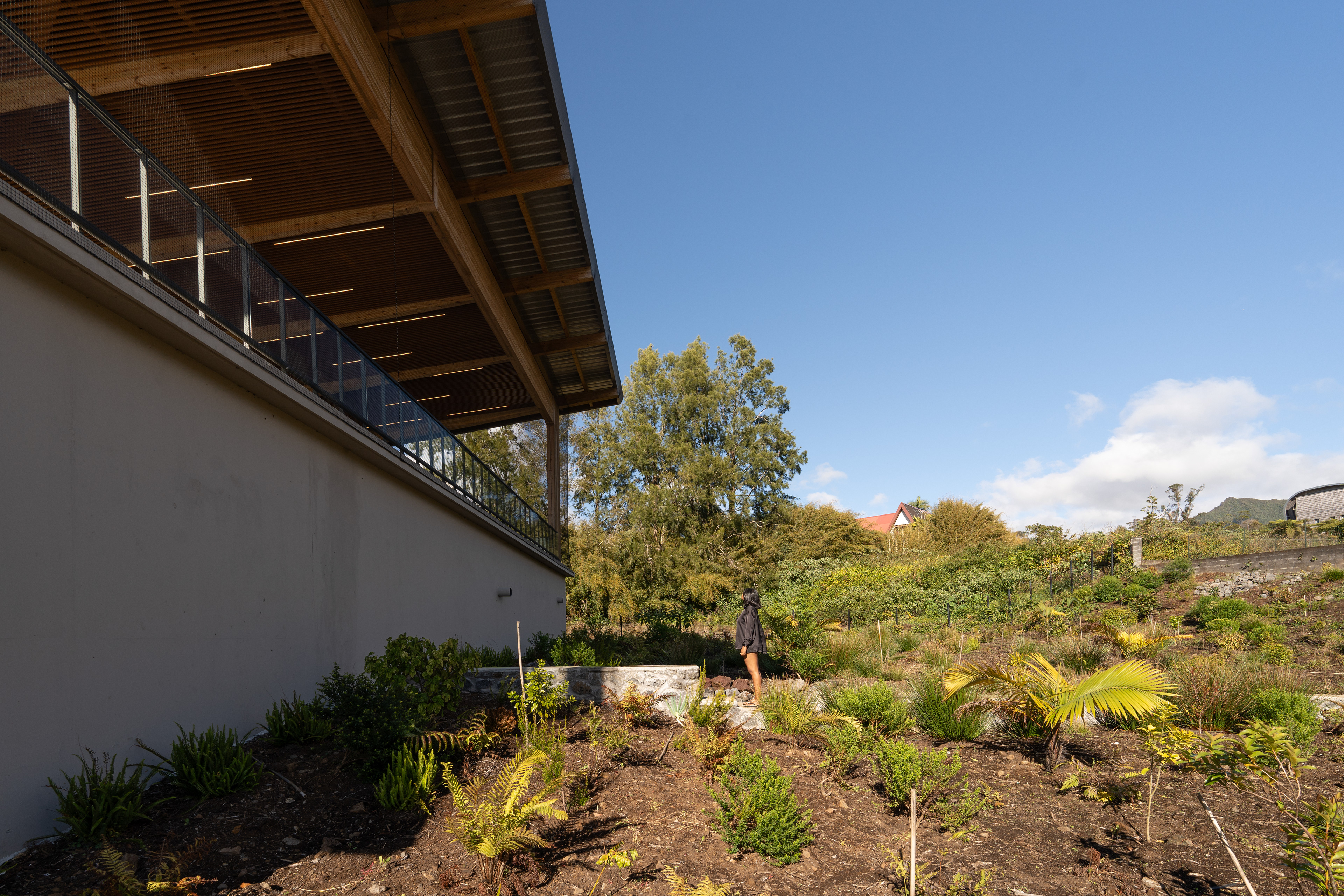 Photographie architecture paysage réunion 974 lab ilet du centre plaine palmistes piscine couverte