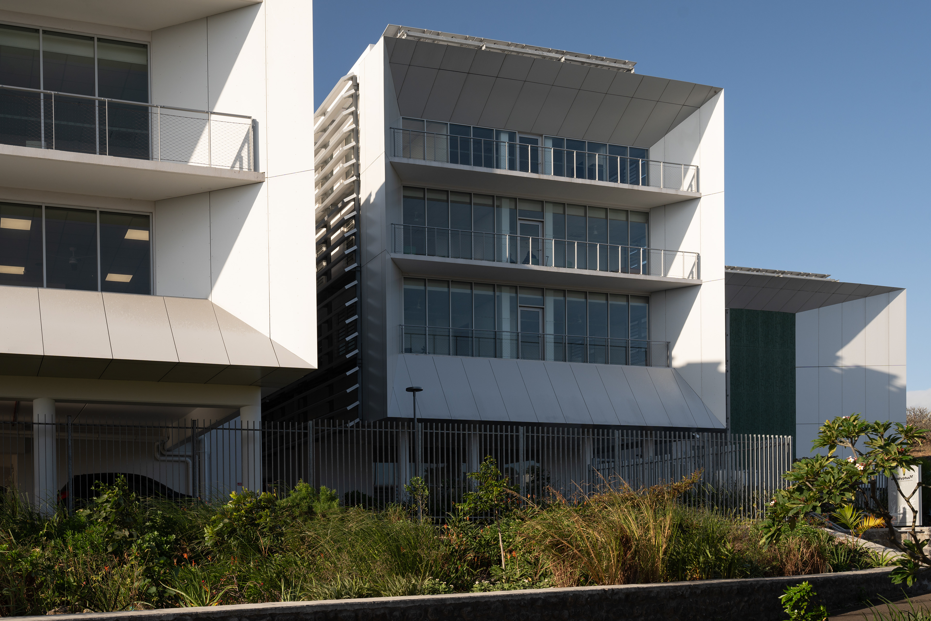 Photographie architecture paysage réunion 974 LAB LEU santé clinique eucalyptus saint-pierre