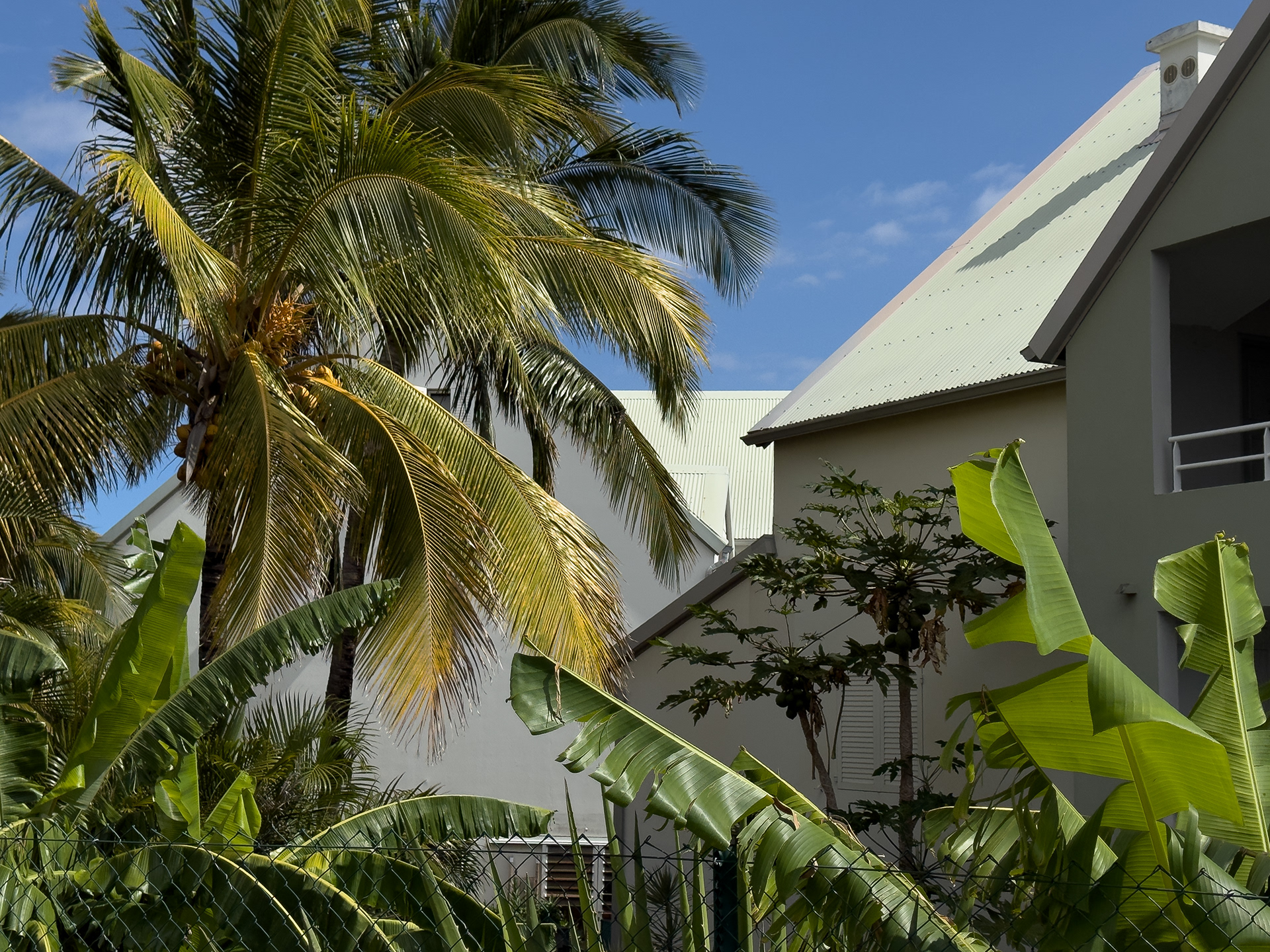 Photographie architecture tropicale réunion 974 Fianu saintpierre tennis