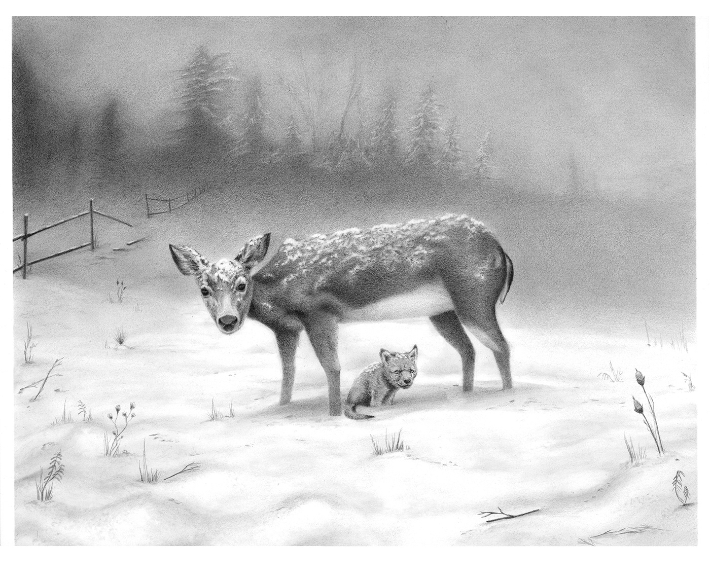 Mother