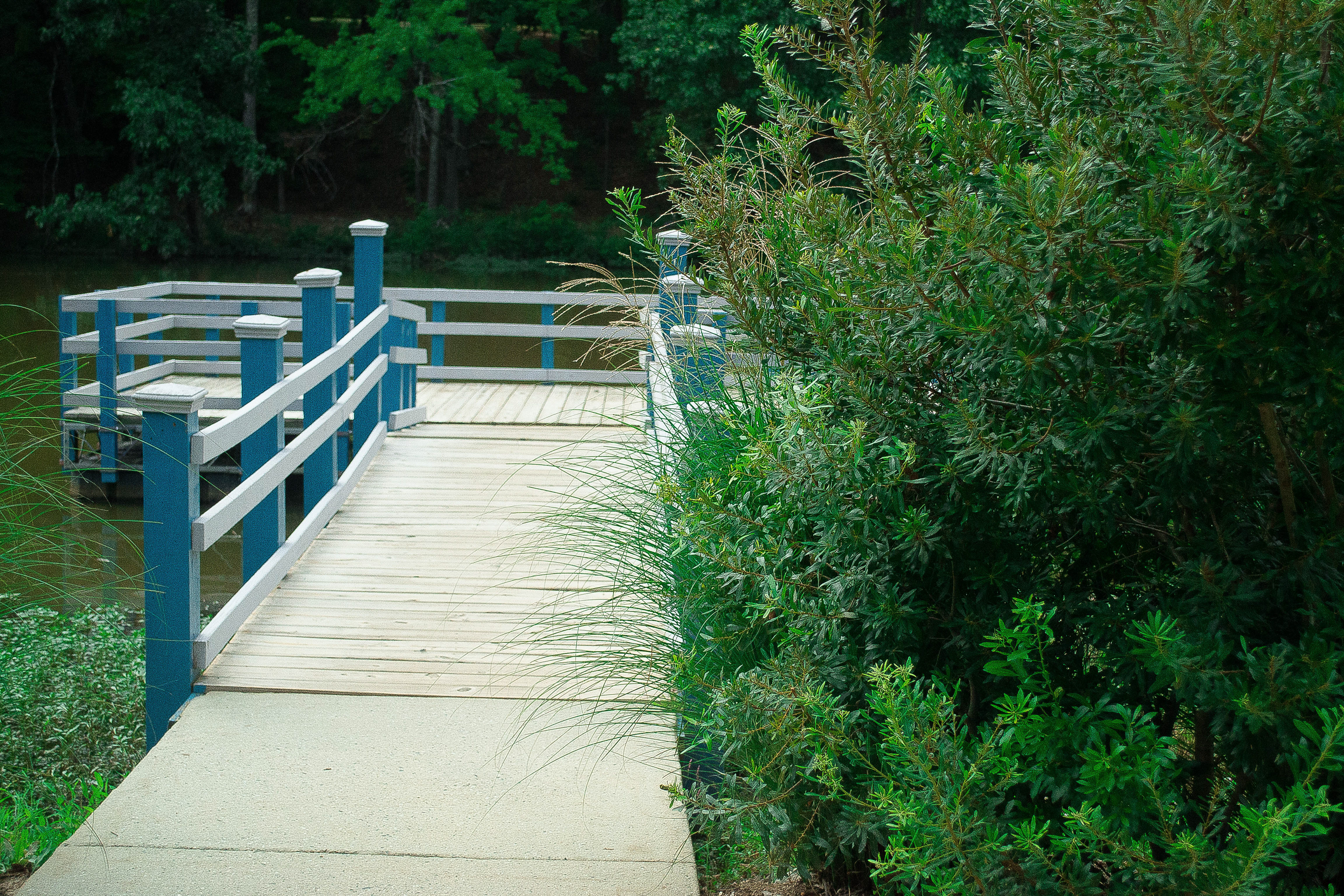 "A Peak into Peace". National Wildlife Park, Greensboro, NC