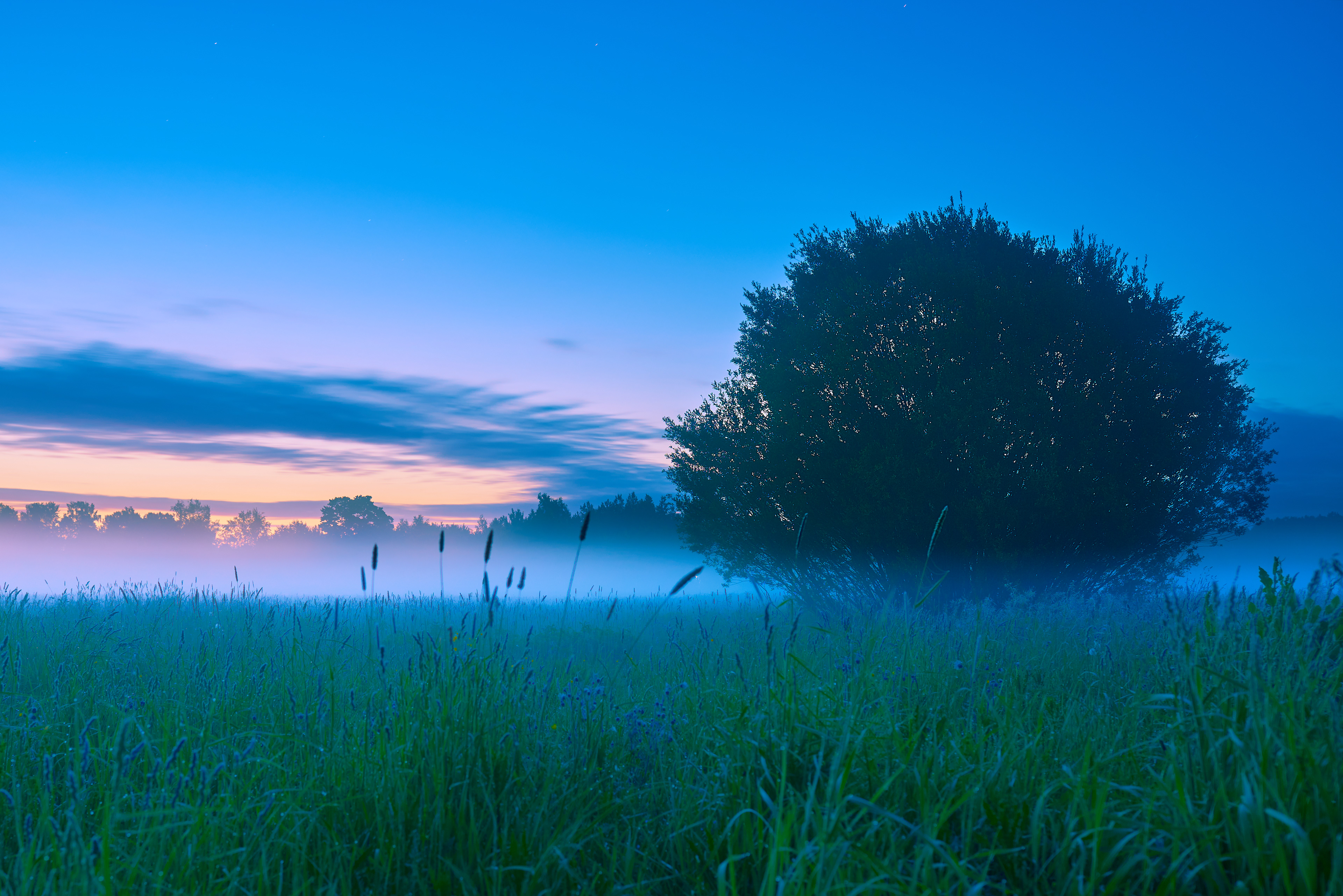 Mist before the sunrise