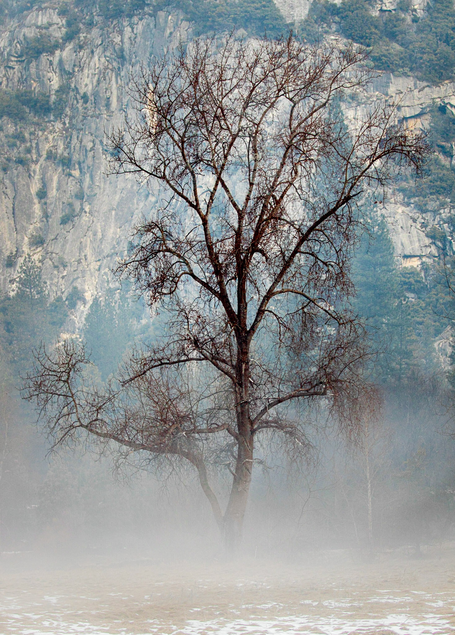Morning fog, Yosemite Valley
