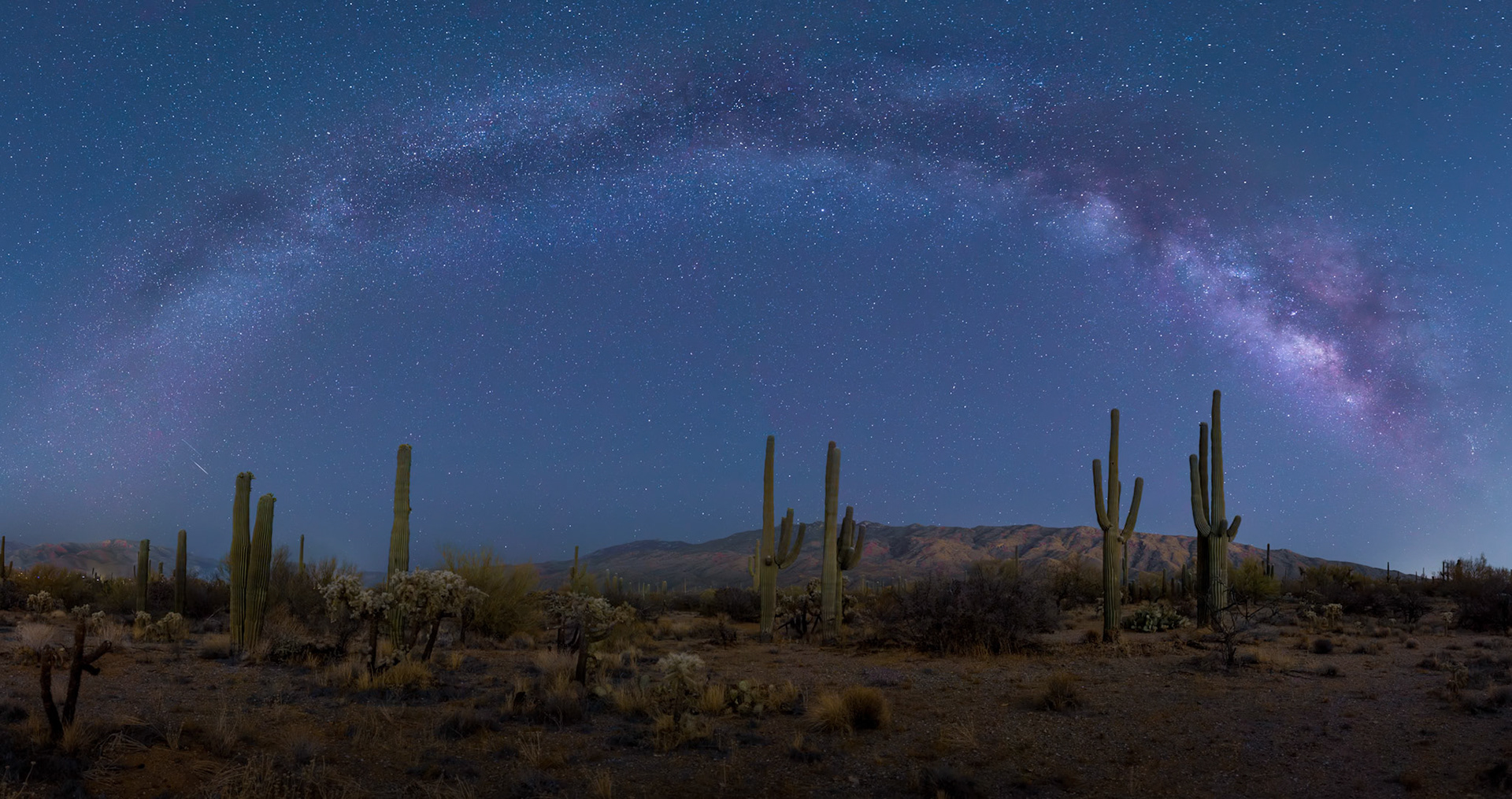 Milky Way over Saguaro National Park