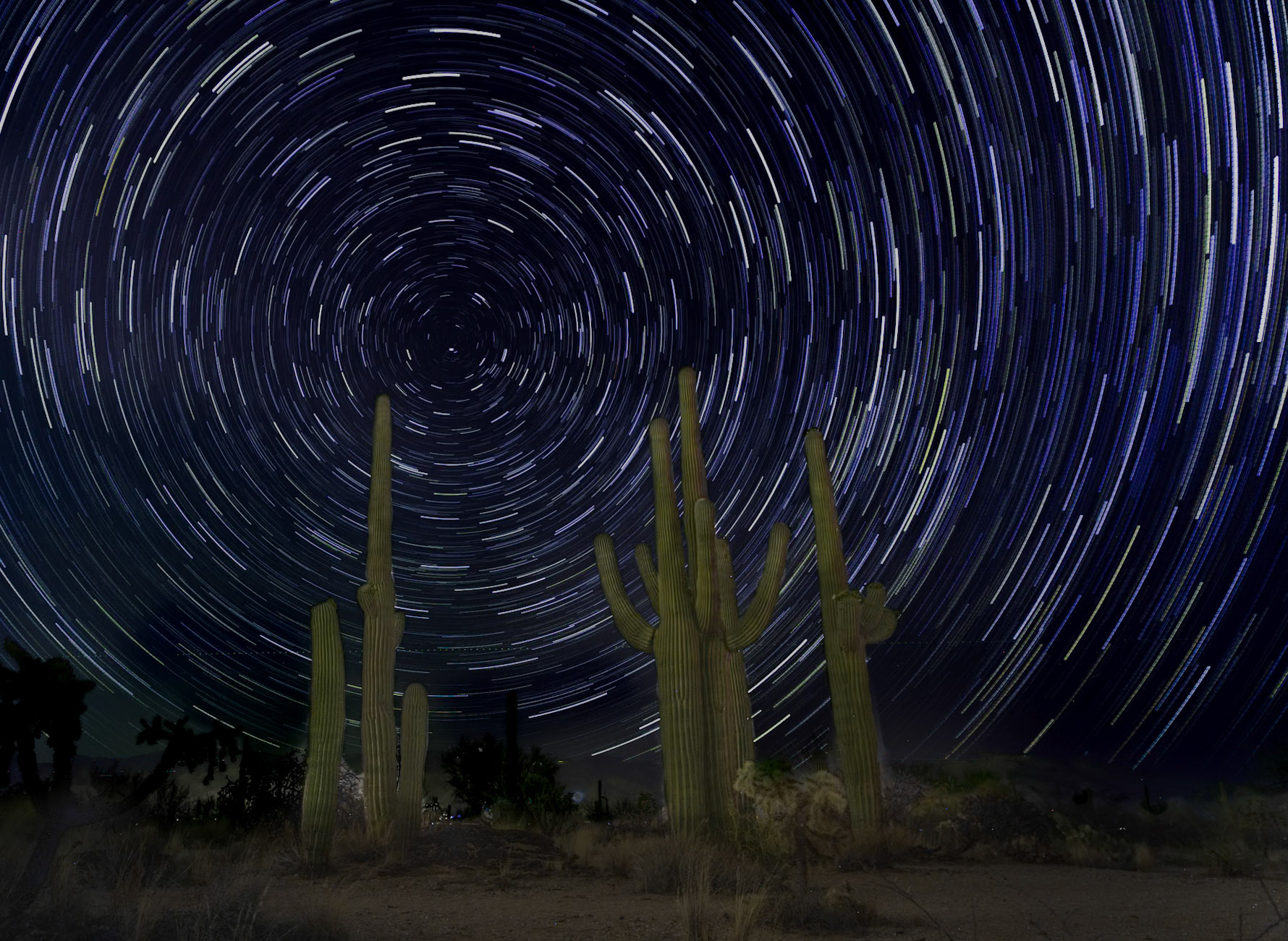 Star trails, Saguaro National Park
