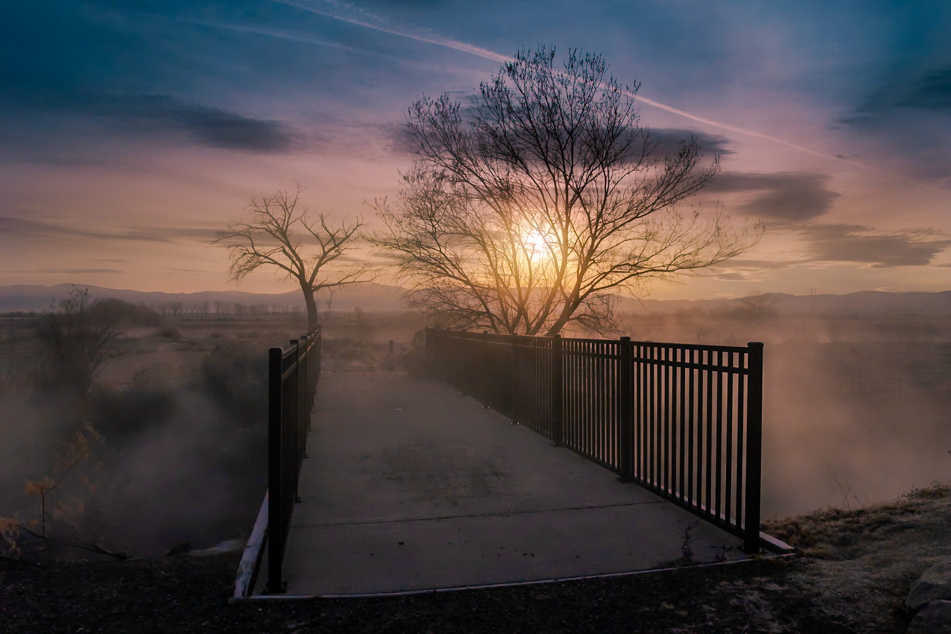 Foggy sunrise, Genoa, Nevada