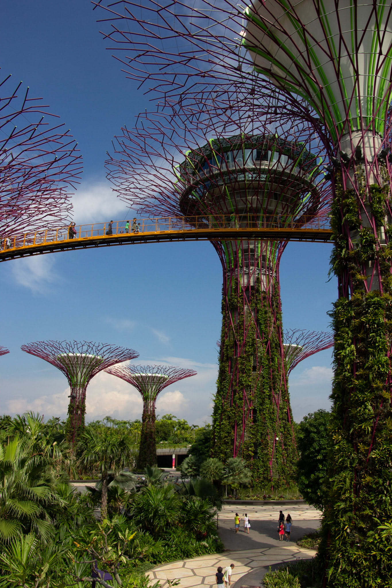 Supertree Grove, Gardens by the Bay, Singapore