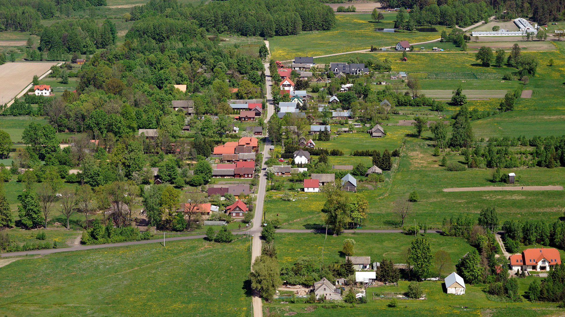 2018.05.05  |  Pasynki  |  fot. Jerzy Grabowski