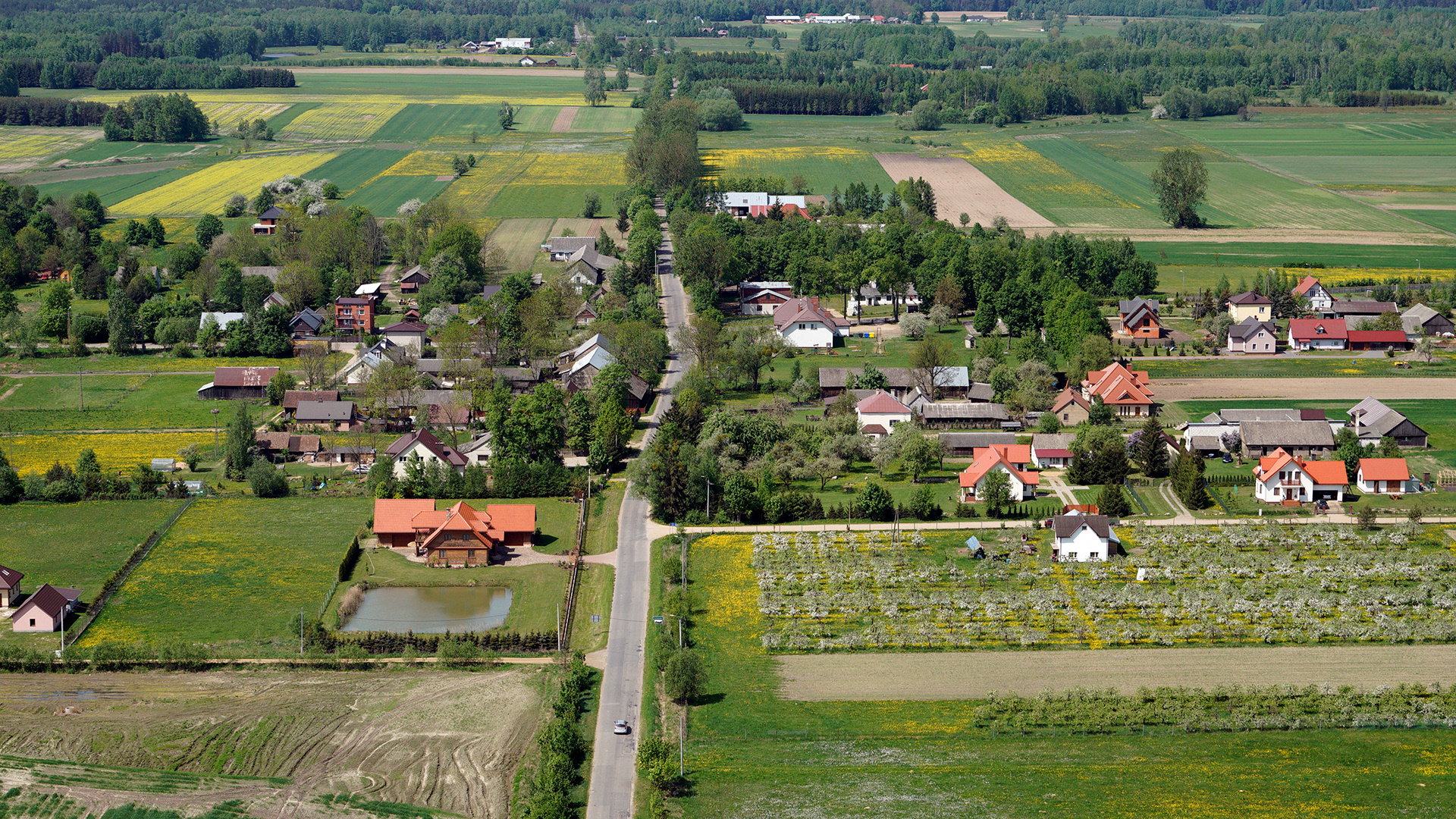 2018.05.05  |  Rafałówka  |  fot. Jerzy Grabowski