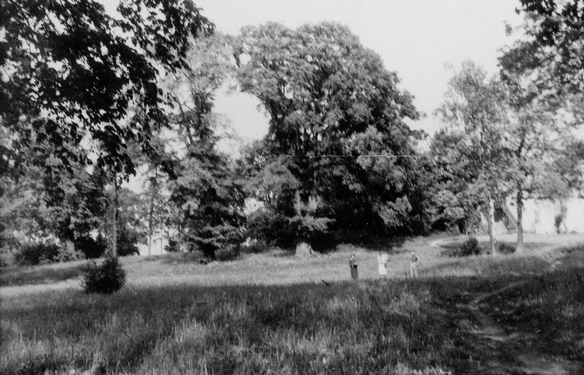1960.10 | Park Dworski od strony południowej - w tle uczestnicy koła fotograficznego | z arch. Zespołu Szkolno-Przedszkolnego w Zabłudowie
