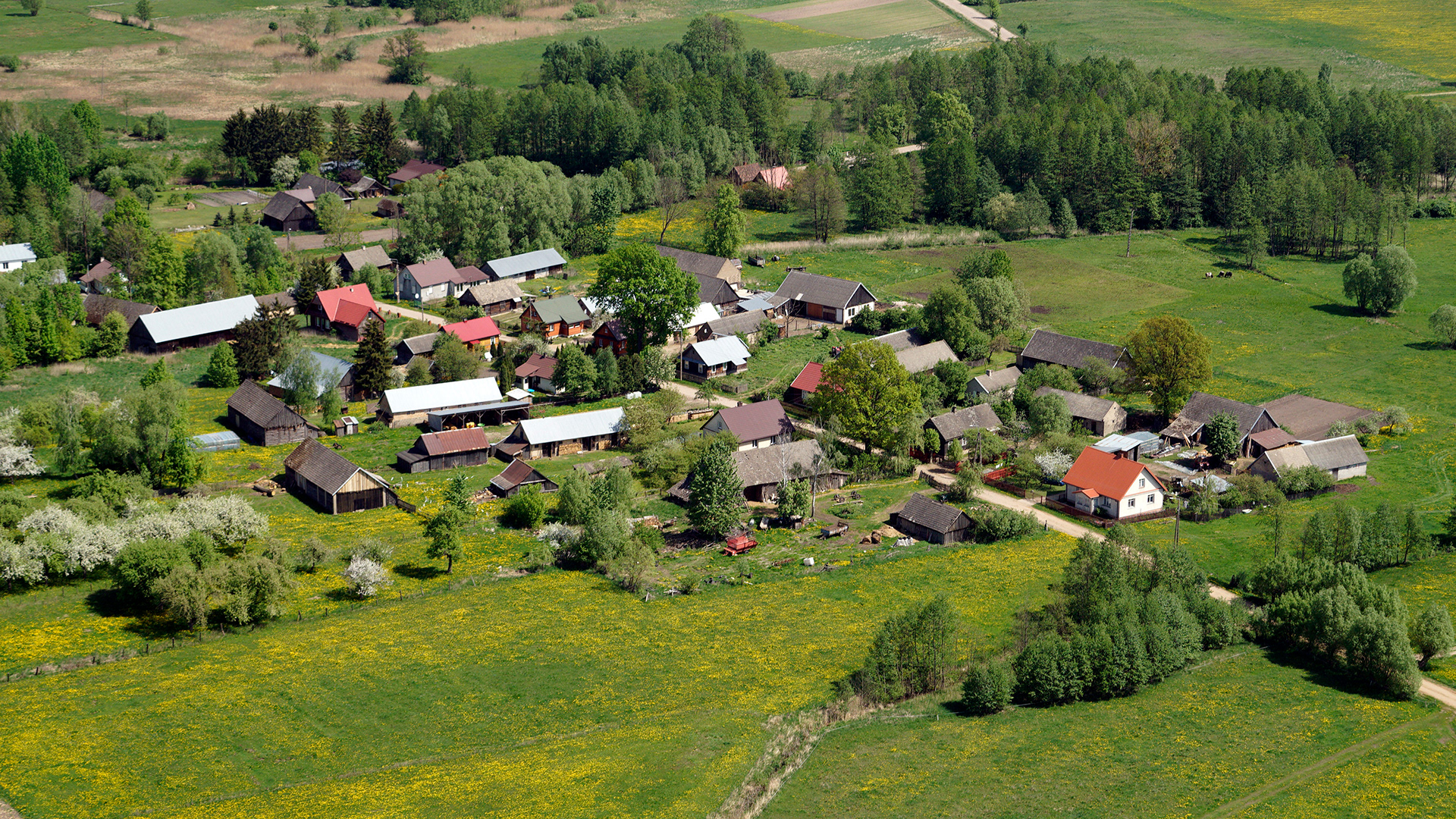 2018.05.05  |  Aleksicze  |  fot. Jerzy Grabowski