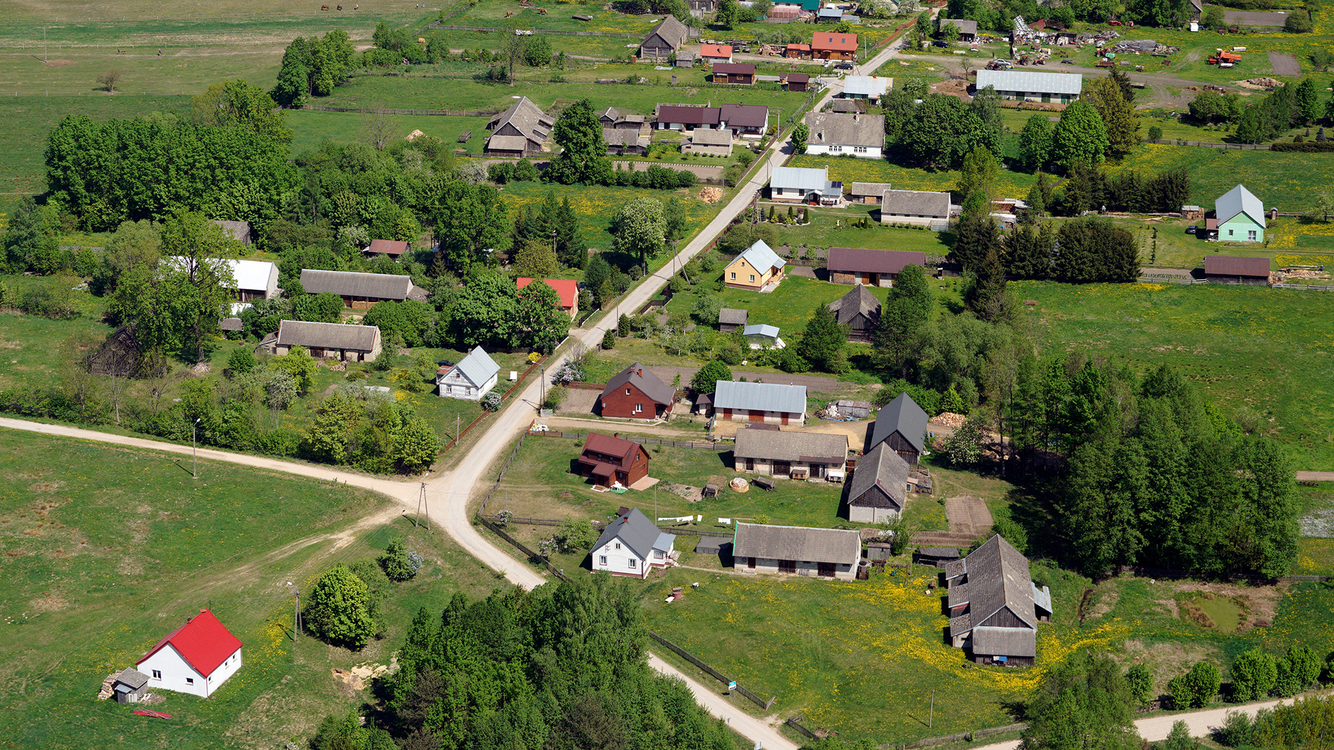 2018.05.05  |  Żuki  |  fot. Jerzy Grabowski