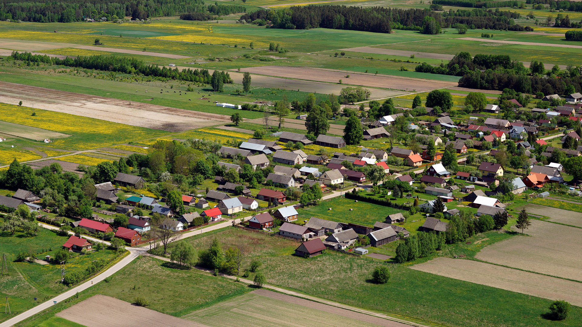 2018.05.05  |  Dawidowicze  |  fot. Jerzy Grabowski