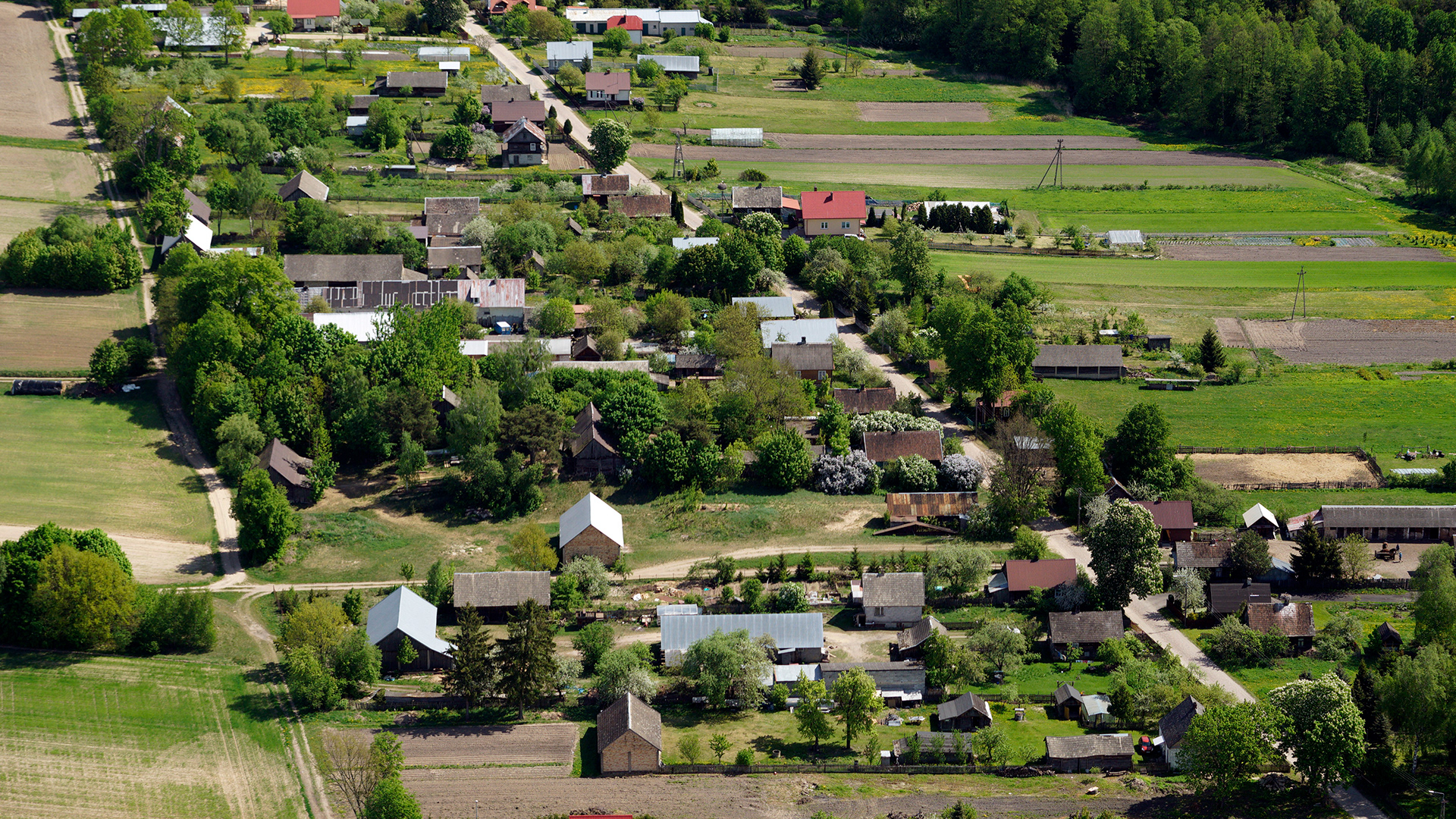 2018.05.05  |  Nowosady  |  fot. Jerzy Grabowski