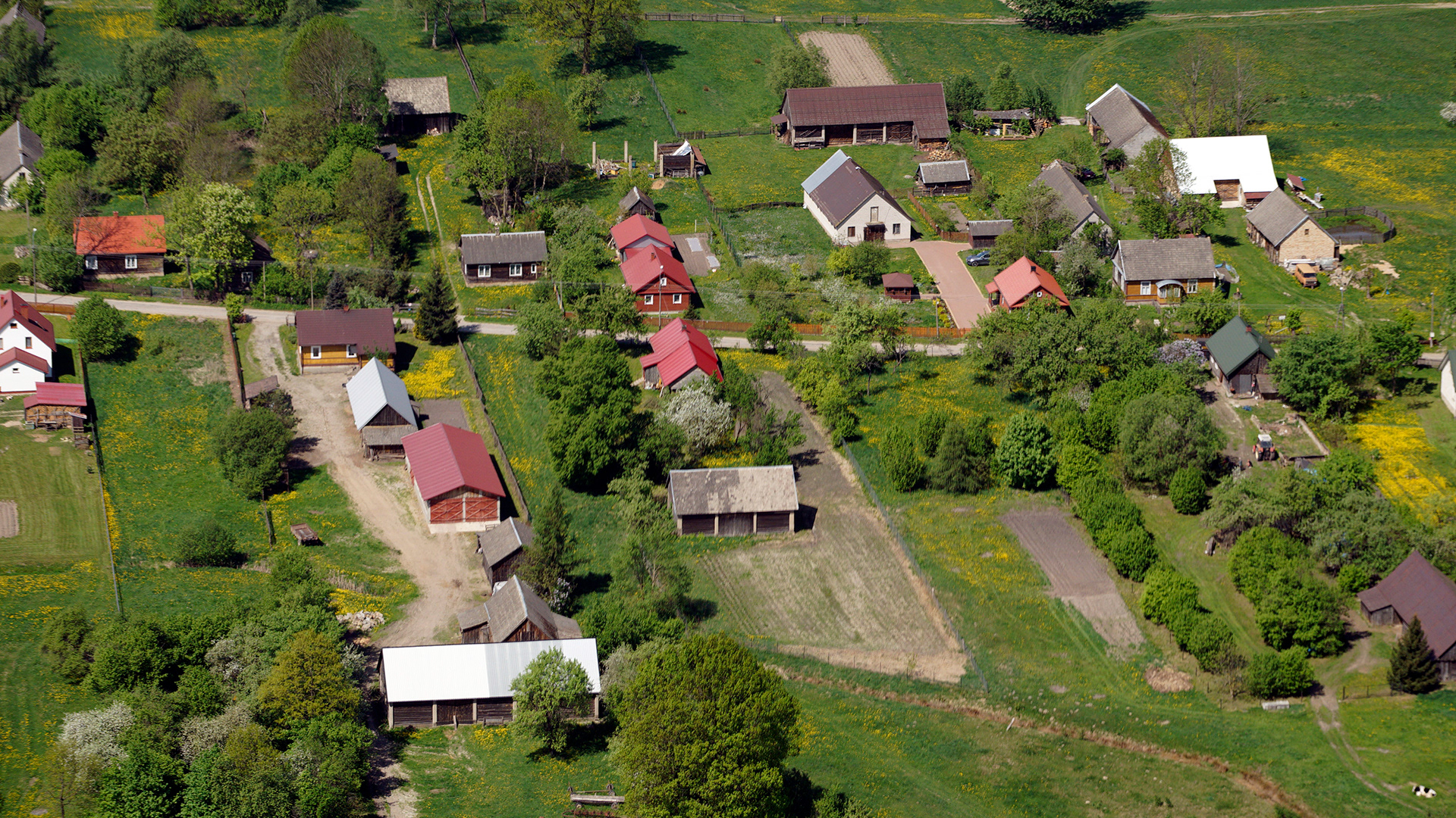 2018.05.05  |  Żuki  |  fot. Jerzy Grabowski