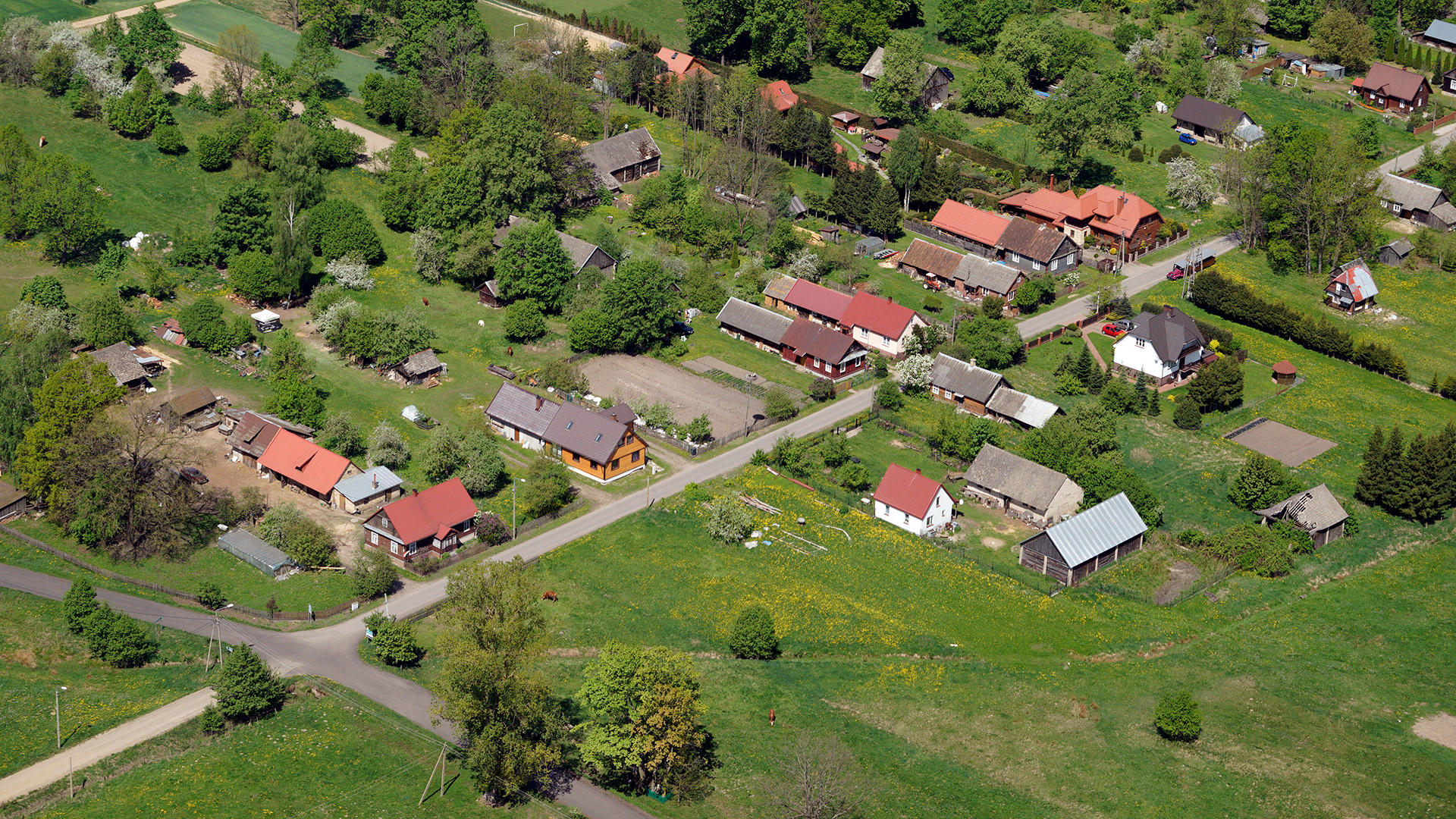 2018.05.05  |  Pasynki  |  fot. Jerzy Grabowski