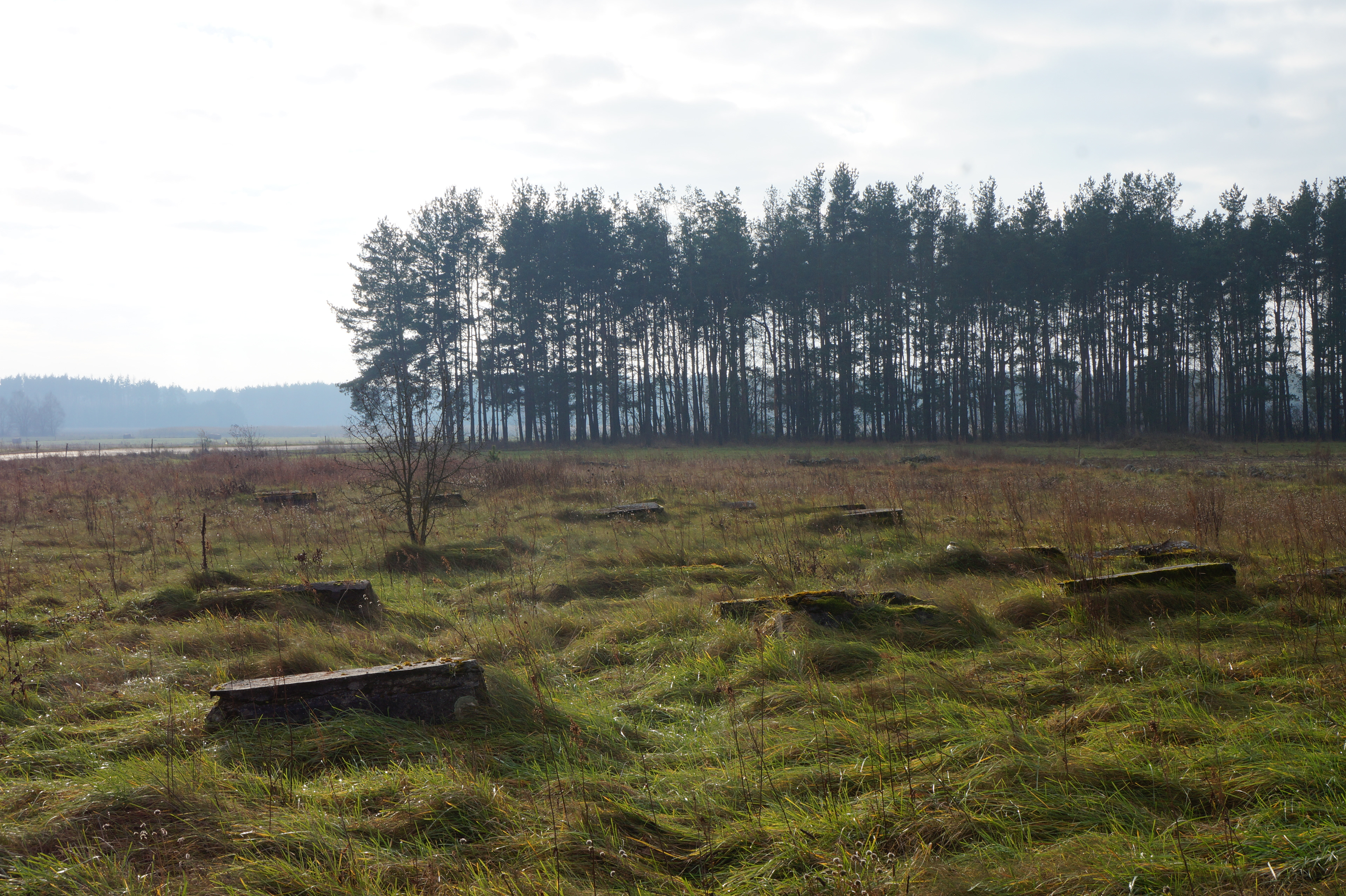 2017.11.27  |  Cmentarz żydowski w Zabłudowie  |  fot. Marcin Ciuchniecki