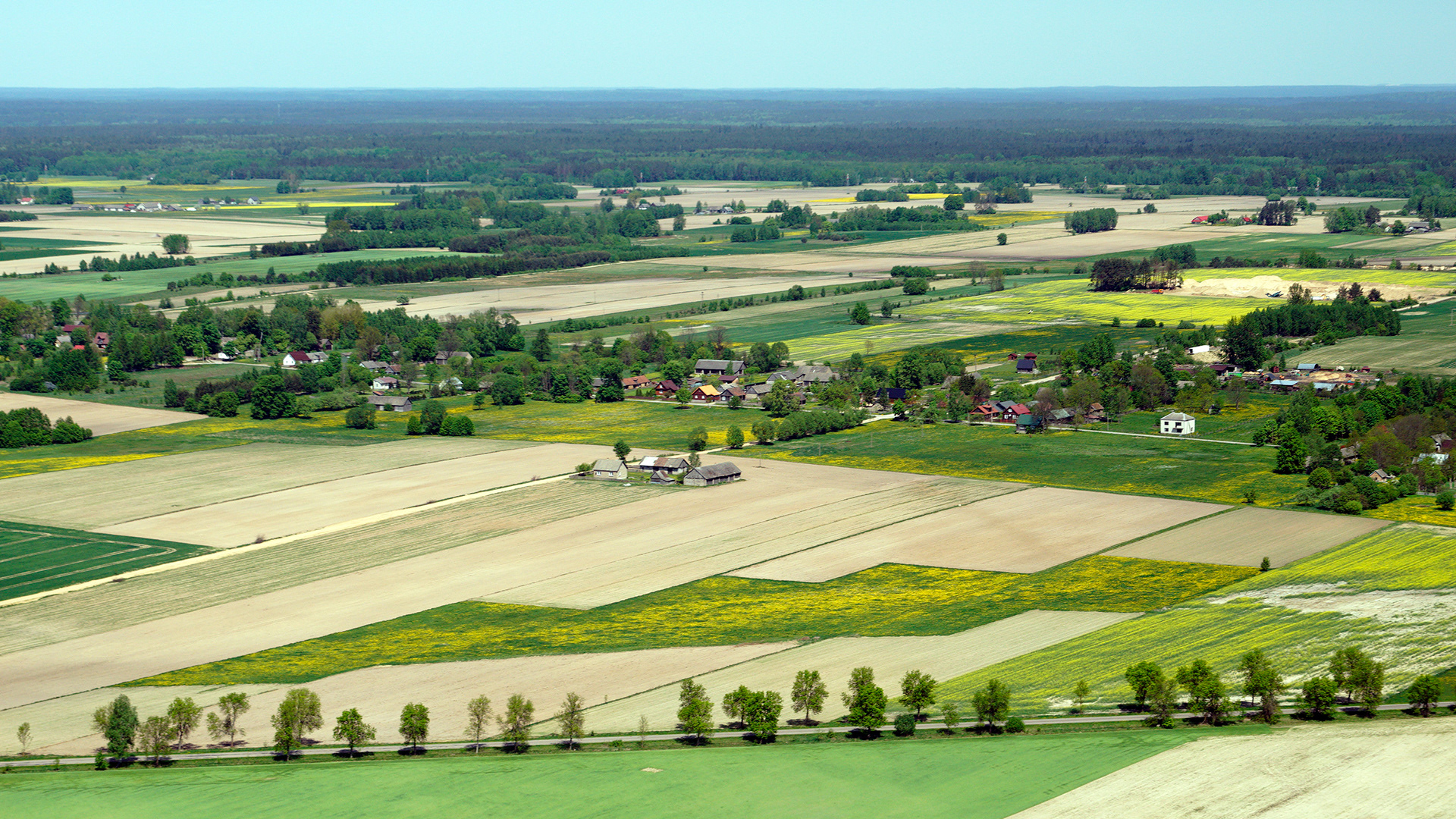 2018.05.05  |  Folwarki Wielkie  |  fot. Jerzy Grabowski