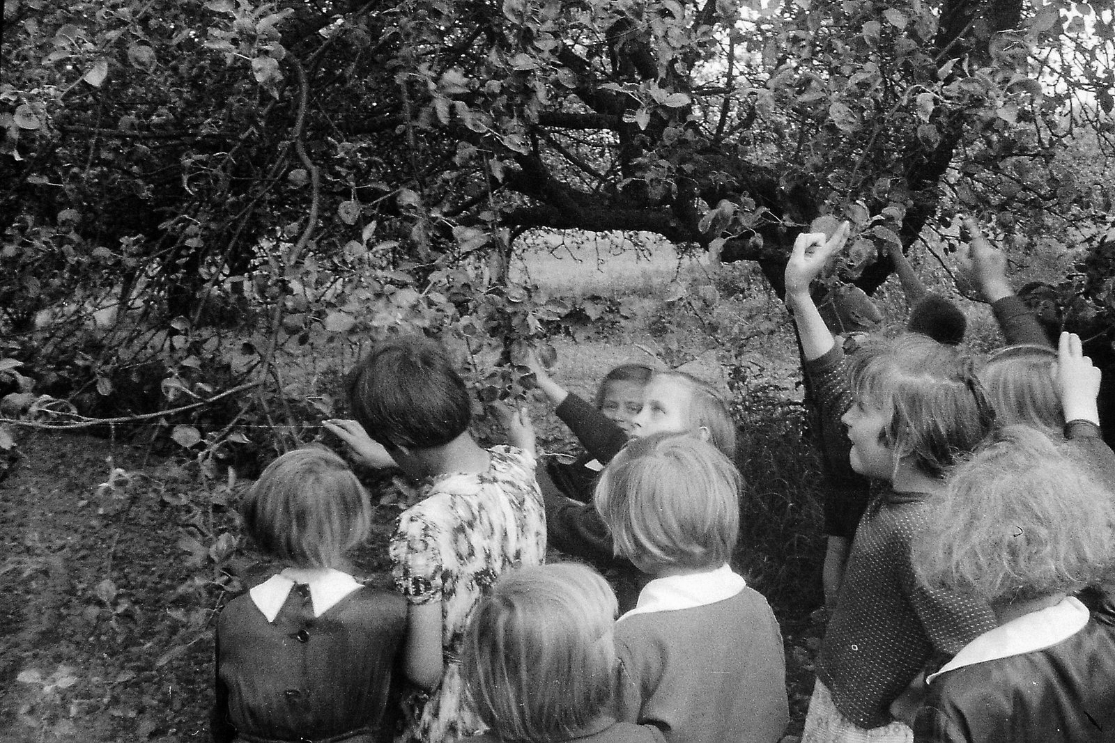 1961-63 | Zajęcia w pobliskim Parku Dworskim w Zabłudowie | z arch. Stanisława Bekisza