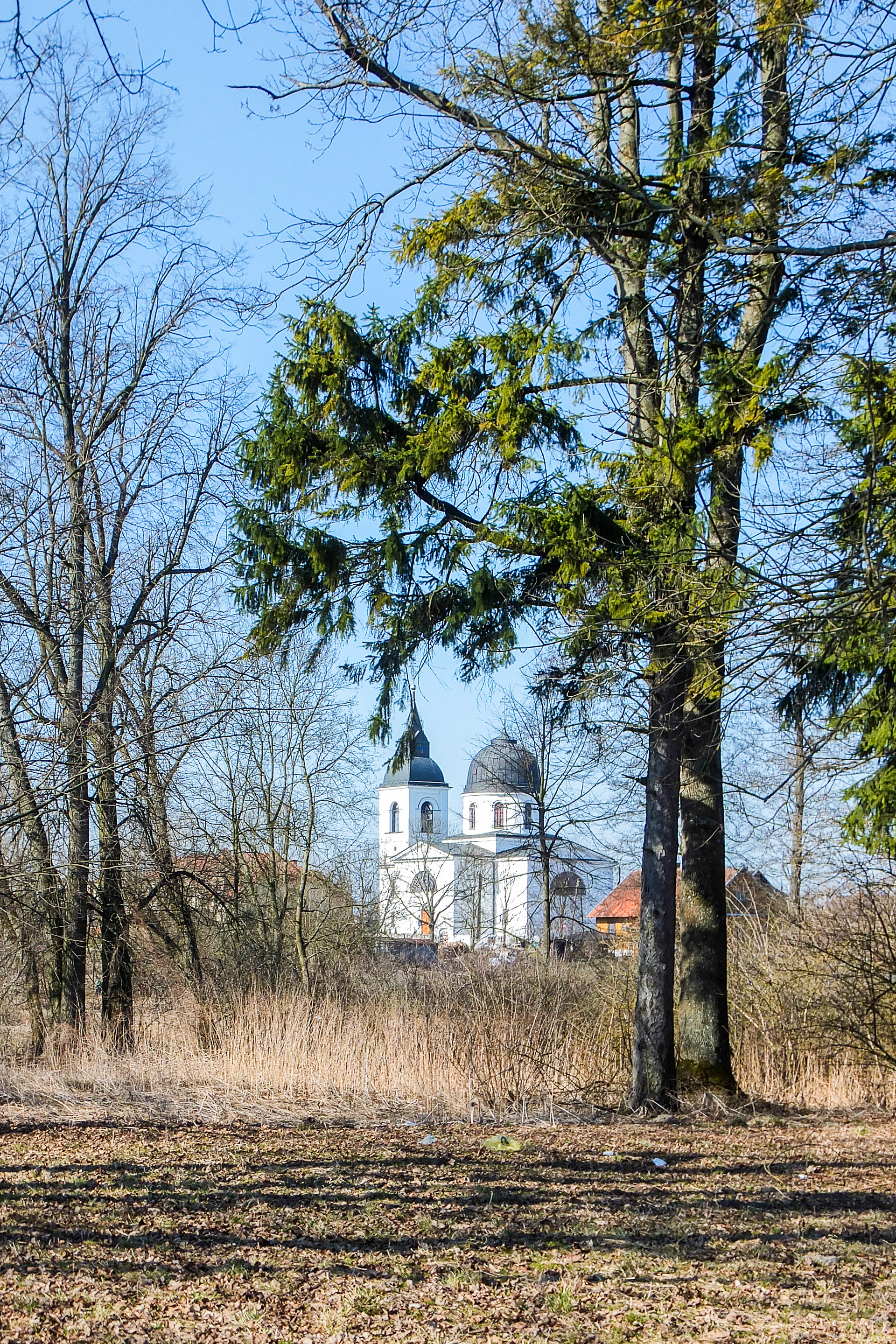 2015.03.19 | Cerkiew pw. Zaśnięcia Najświętszej Marii Panny w Zabłudowie - widok z Parku Dworskiego | fot. Małgorzata Kasperowicz
