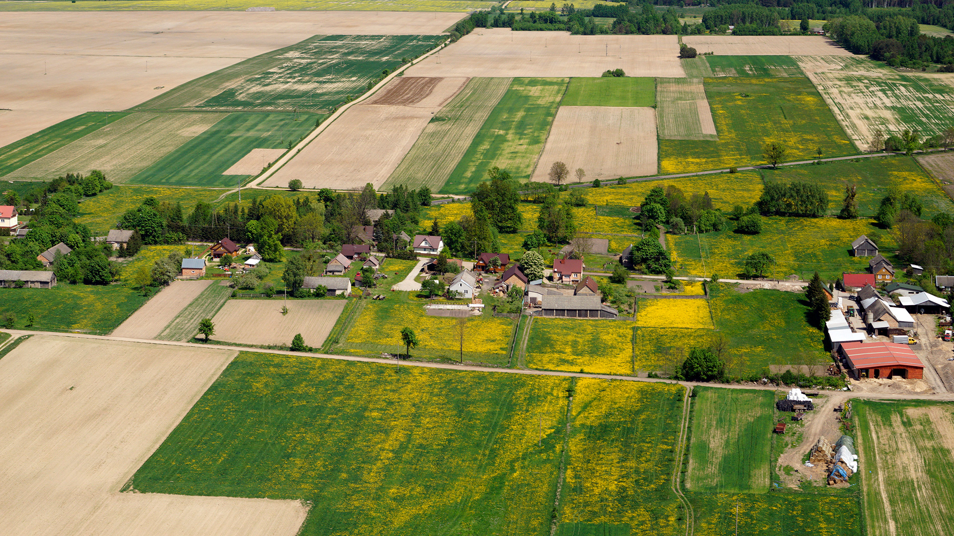 2018.05.05  |  Folwarki Tylwickie  |  fot. Jerzy Grabowski