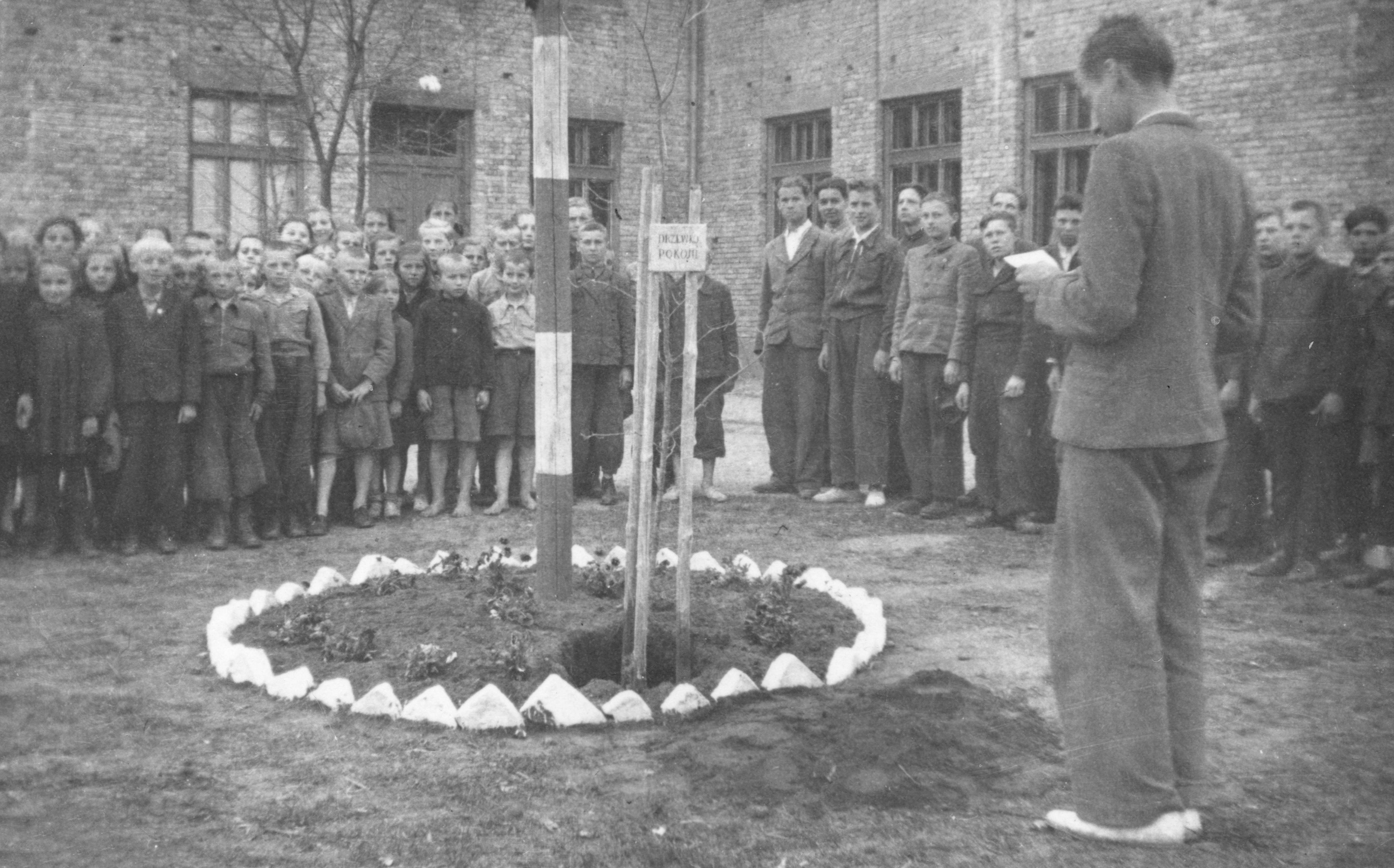 1948  |  Sergiusz Michalczuk prowadzi pierwszy apel w nowej Szkole Podstawowej w Zabłudowie - posadzono wtenczas Drzewo Pokoju przy maszcie  |  z arch. Olgi Michalczuk z d. Polikarp