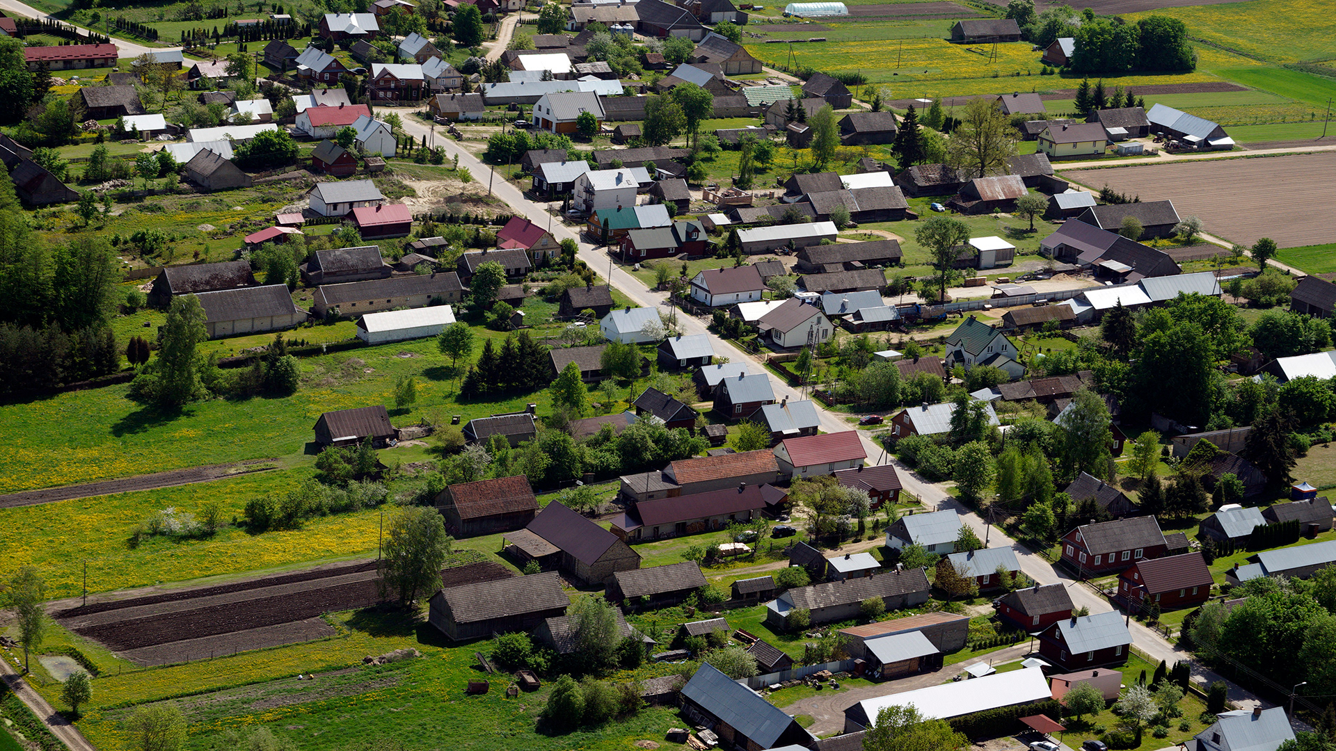2018.05.05  |  Rzepniki  |  fot. Jerzy Grabowski
