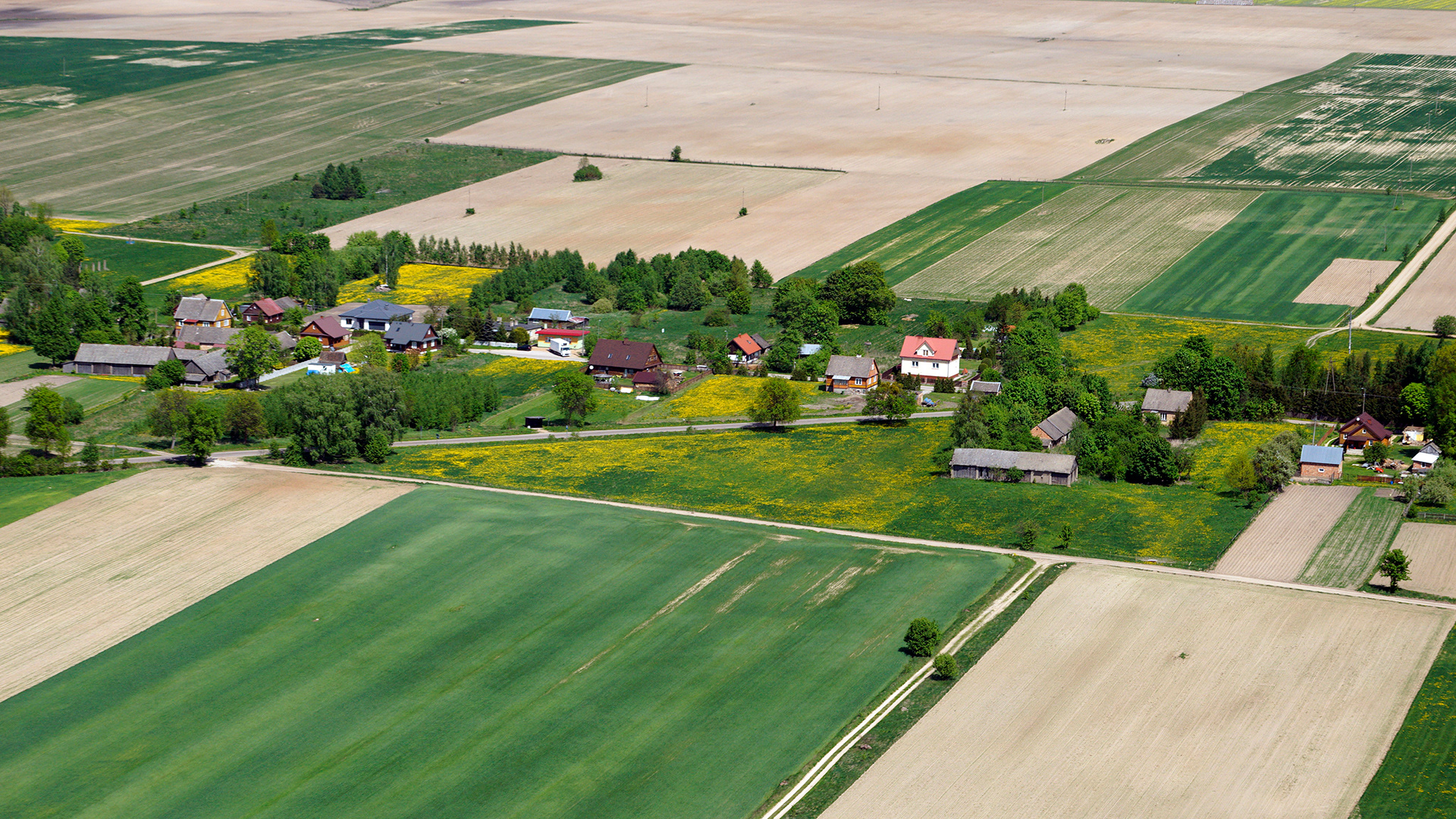 2018.05.05  |  Folwarki Tylwickie  |  fot. Jerzy Grabowski