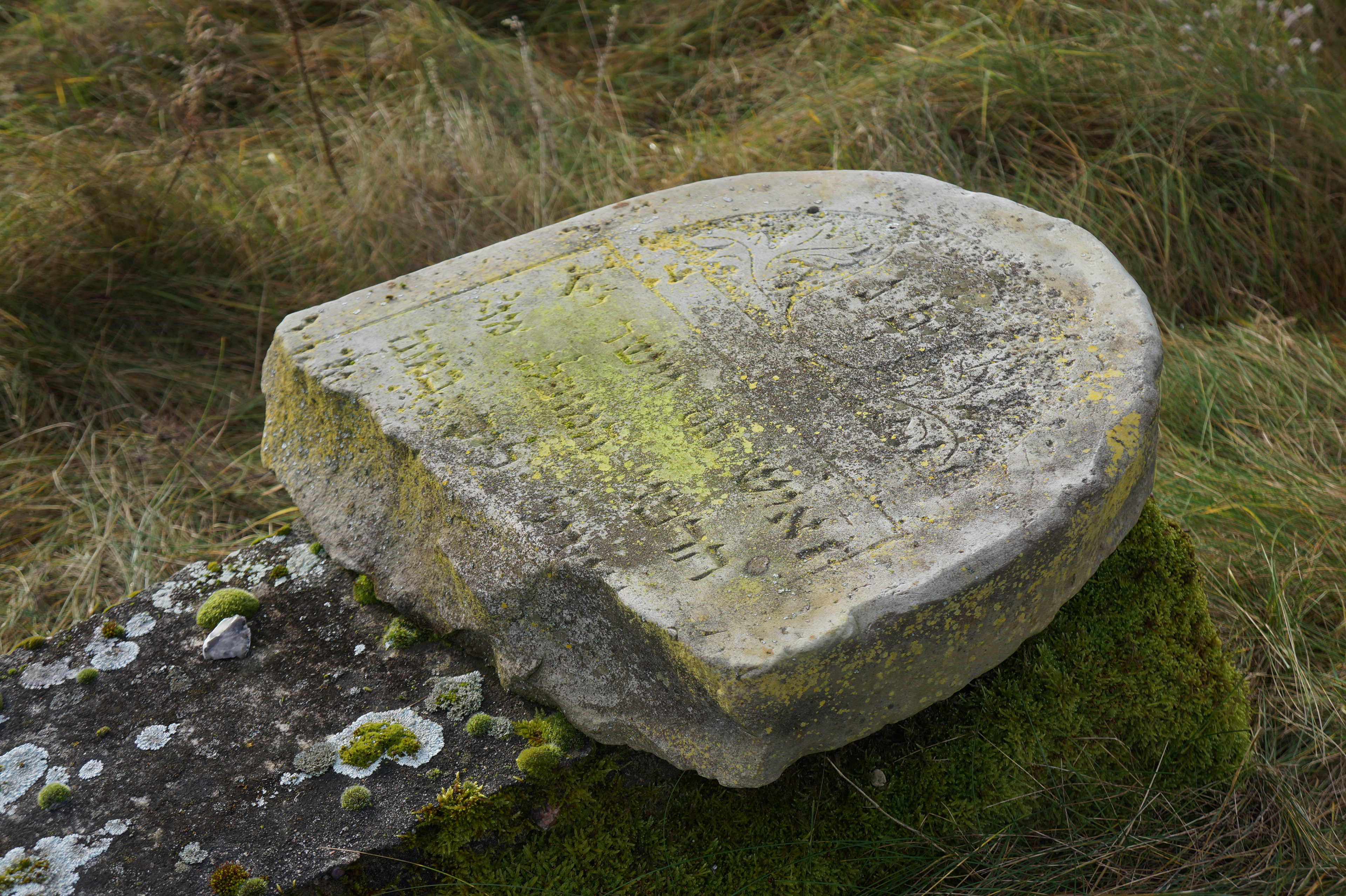 2017.11.27  |  Cmentarz żydowski w Zabłudowie  |  fot. Marcin Ciuchniecki