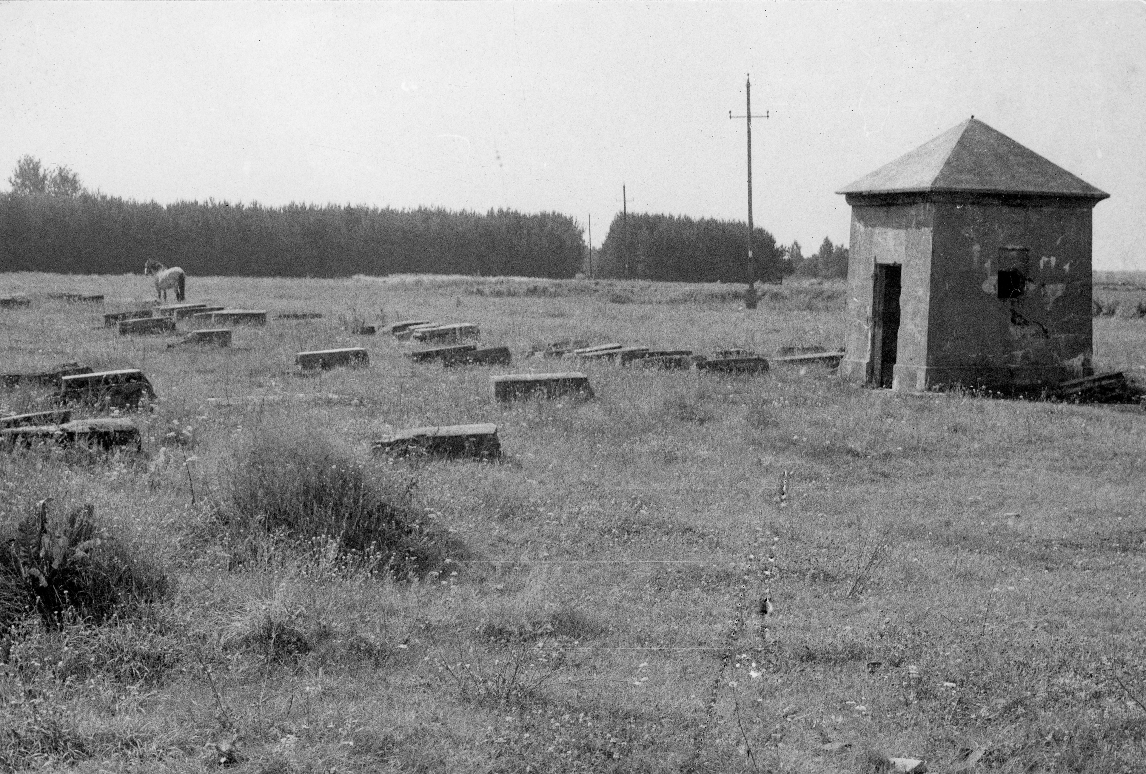 Lata 70. XX wieku | Cmentarz żydowski w Zabłudowie - po prawej ohel cadyka Akiva Subotnik | z arch. Grażyny Zakrzewskiej-Dąb